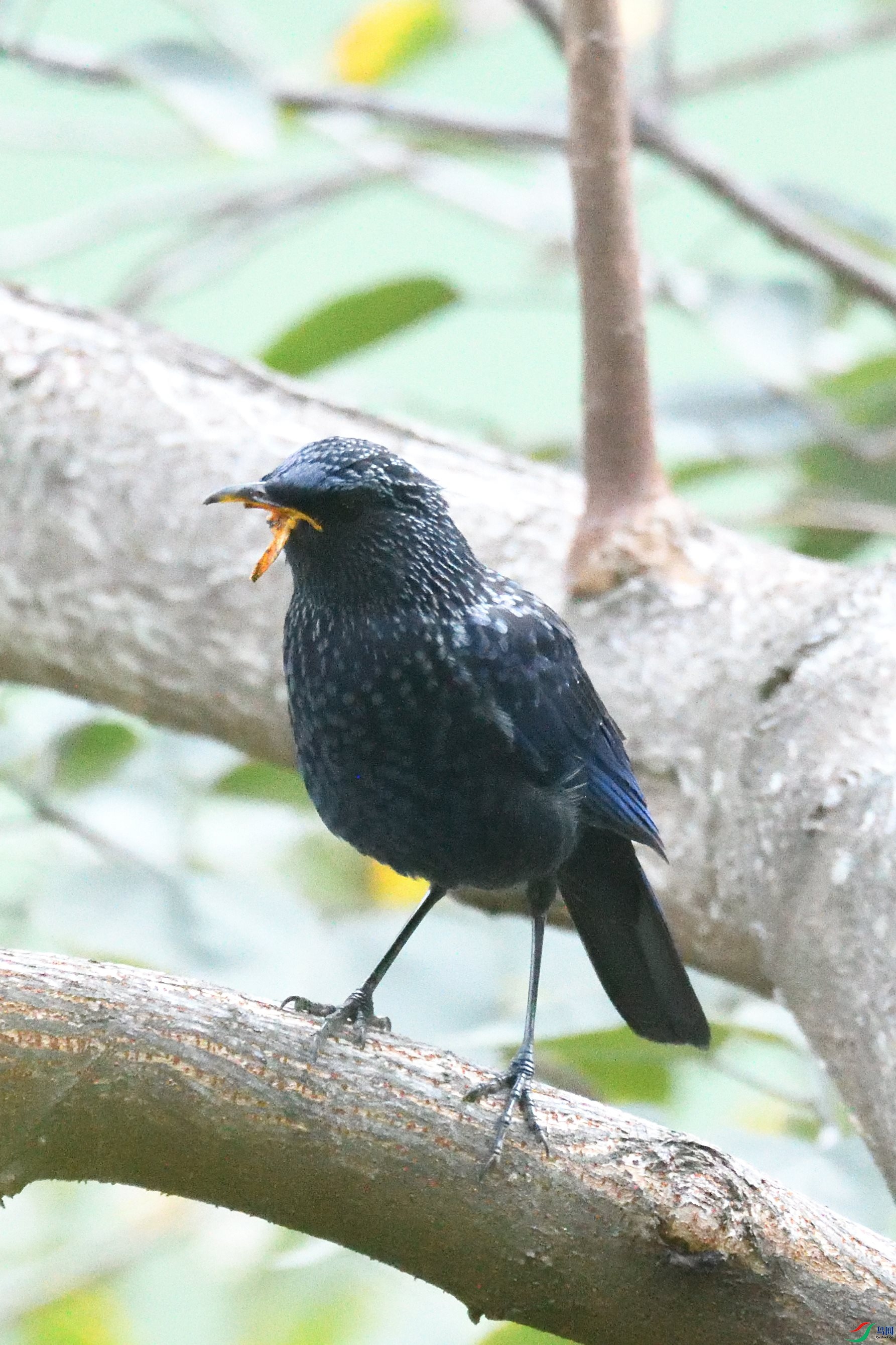 ʮ���գ����j���Զ��ѣ�