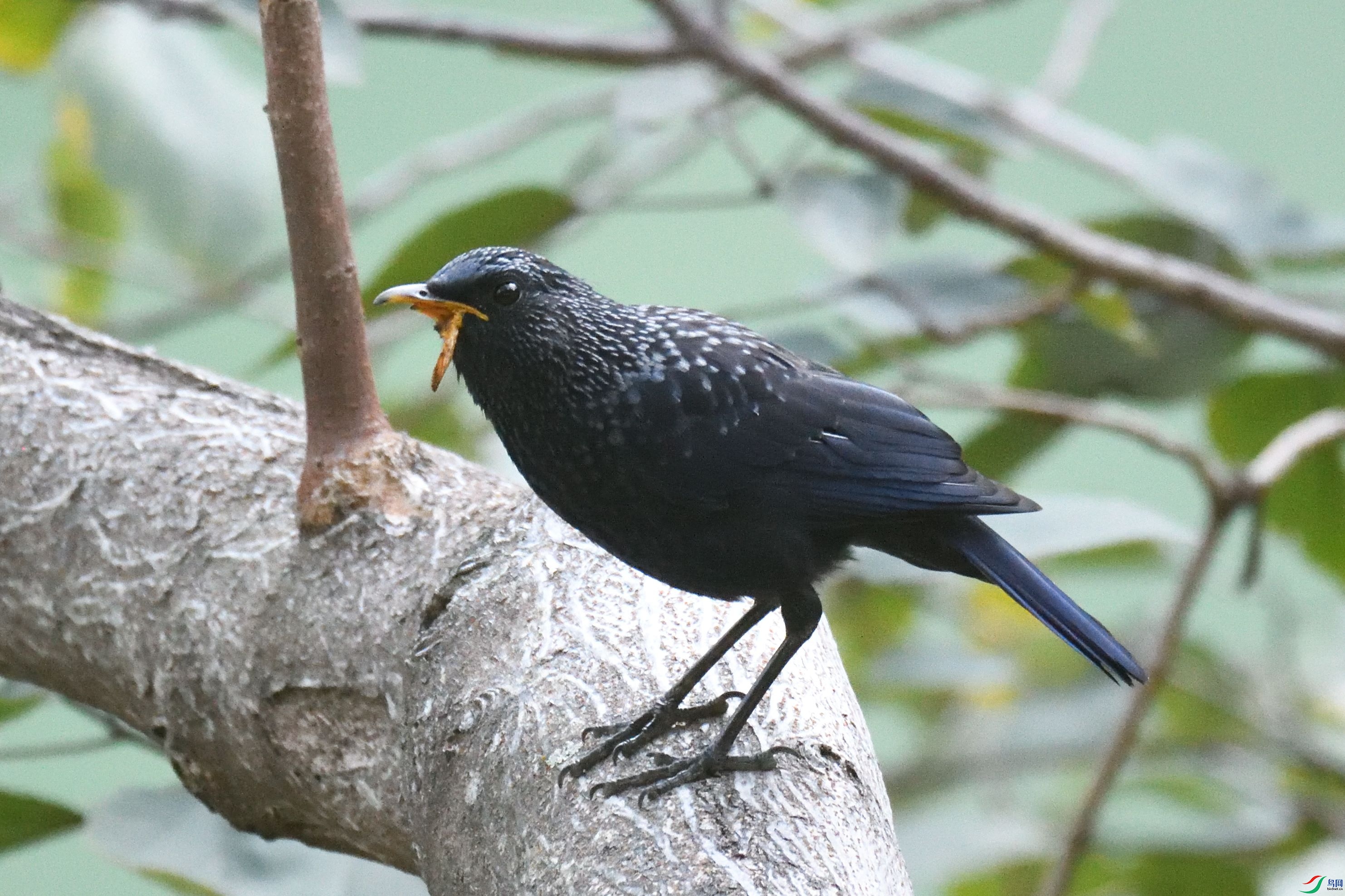 ʮ���գ��Ͽ����ʣ�