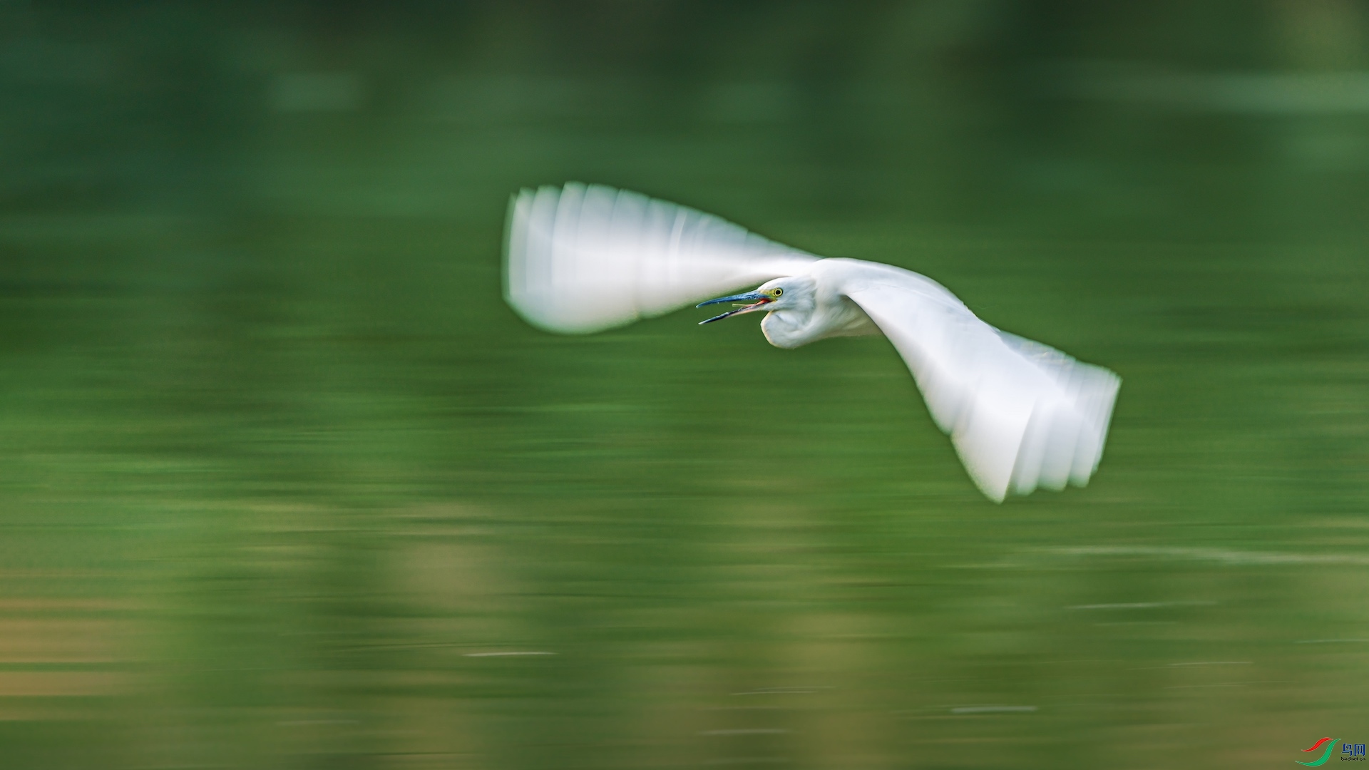 1_XXI1449-1�ĸ��� ����.jpeg