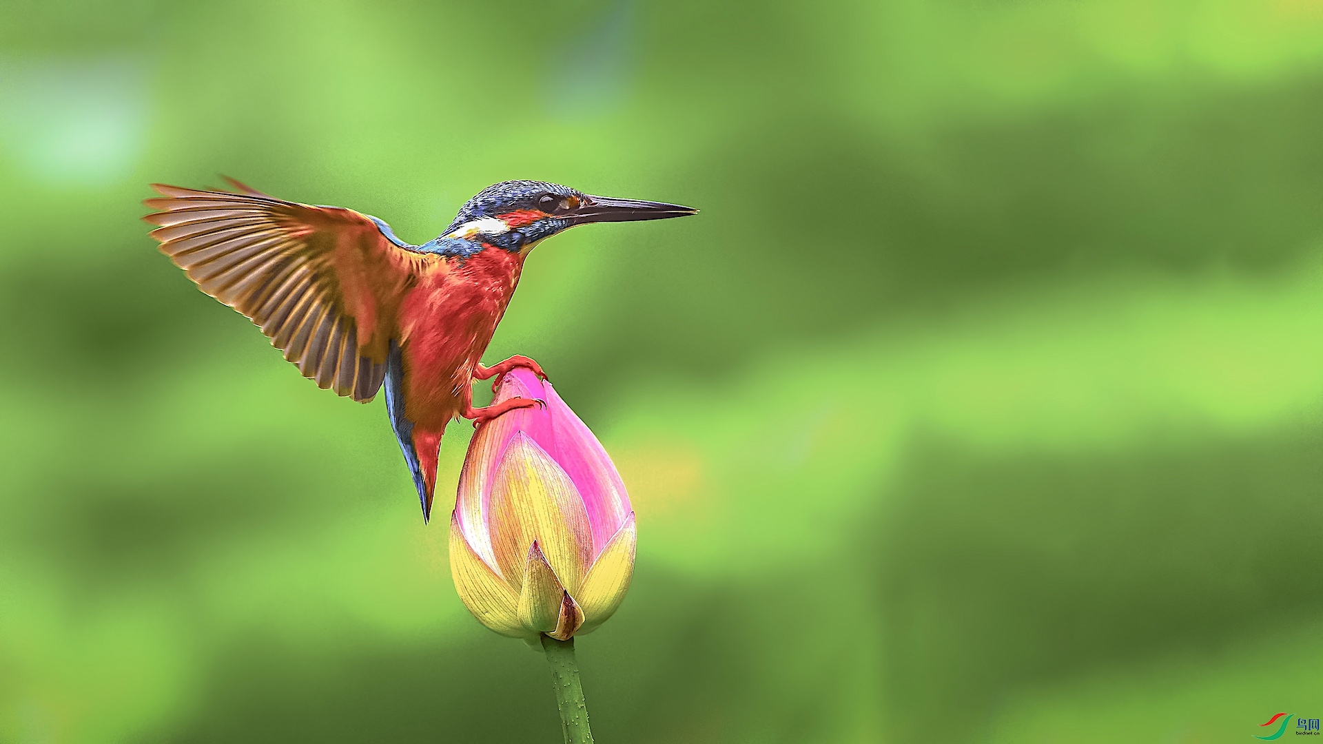 1_XXI2972 ����.jpeg