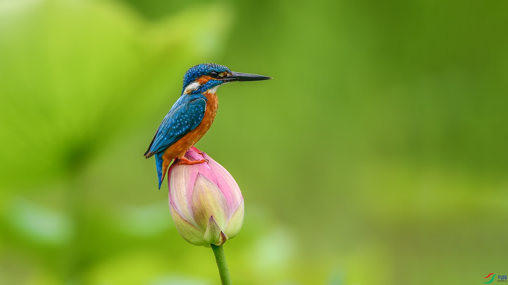 1_XXI4534 ����.jpeg