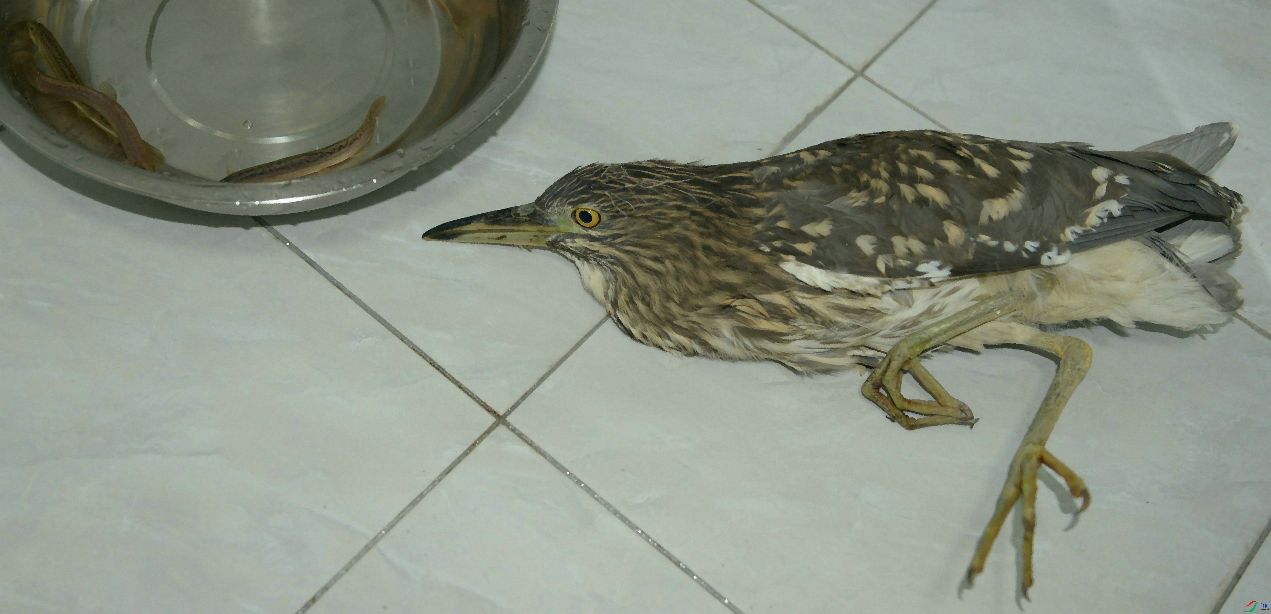 DSC_0702.jpg