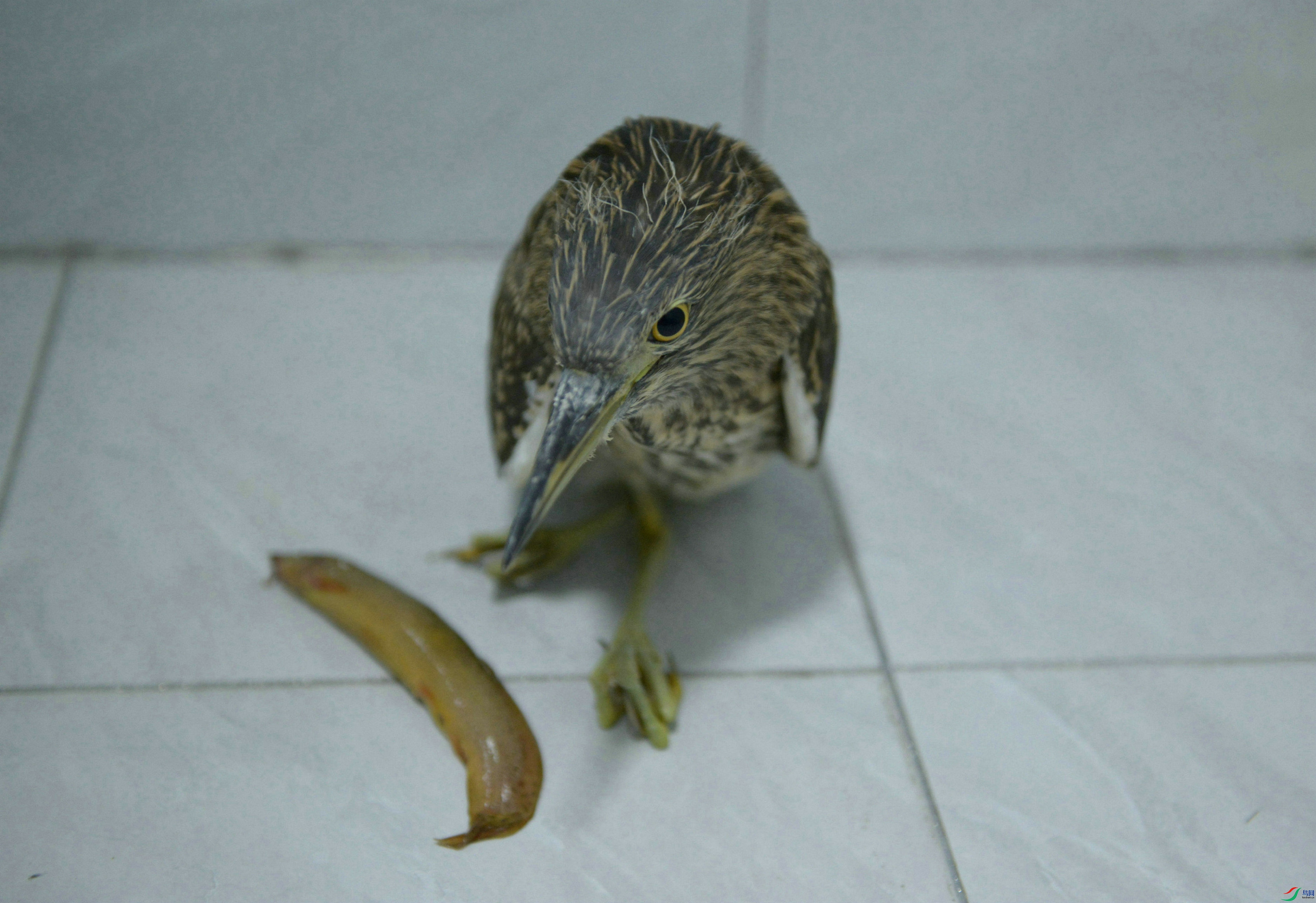 DSC_1086.jpg