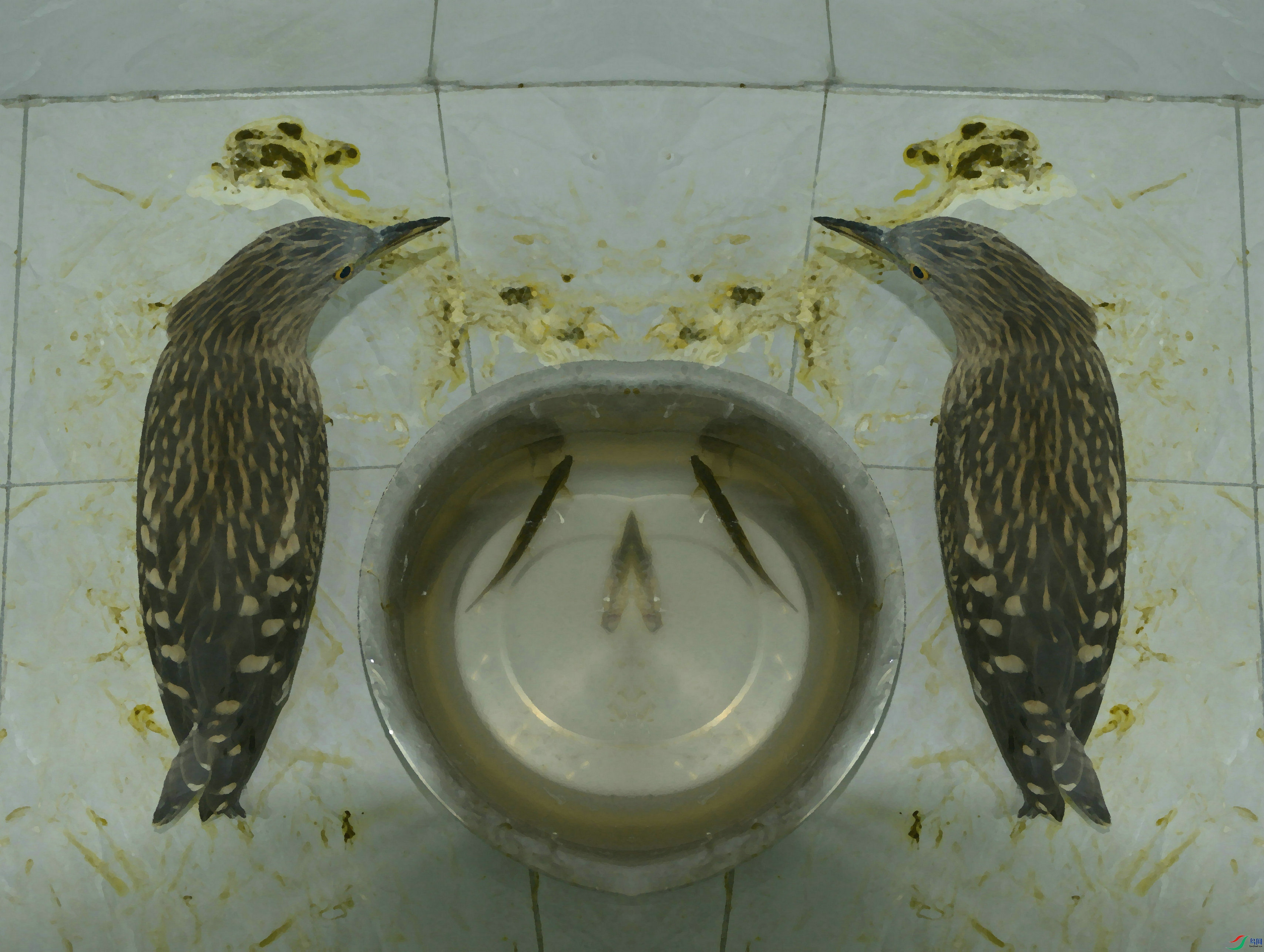 DSC_1523.jpg