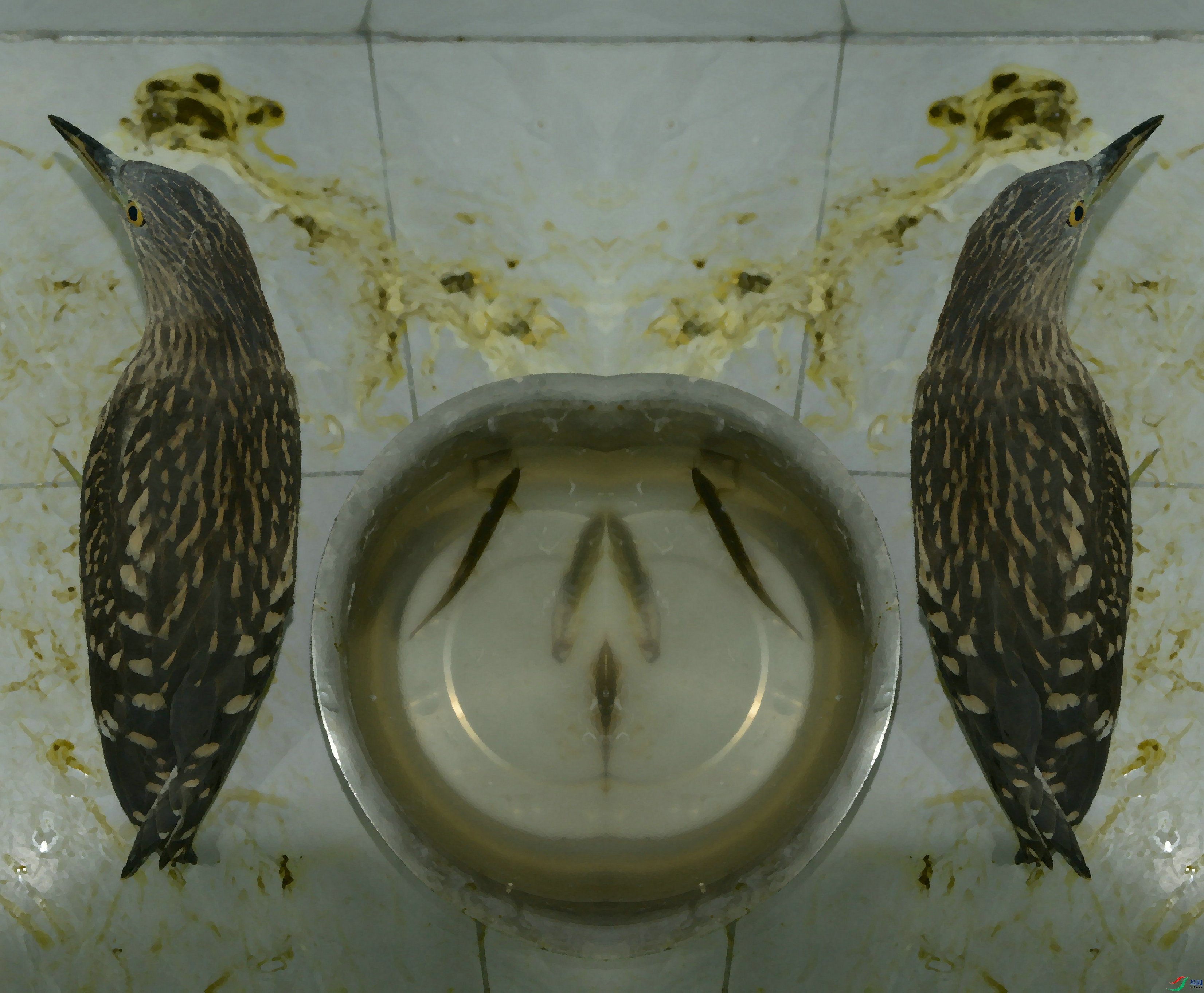 DSC_1520.jpg