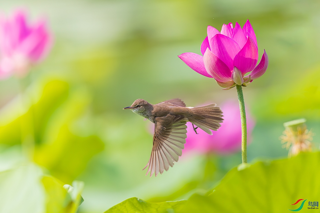 xzylhR240615 (941)_DxO.jpg