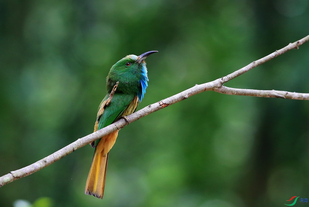 ���� IMGL5193.JPG