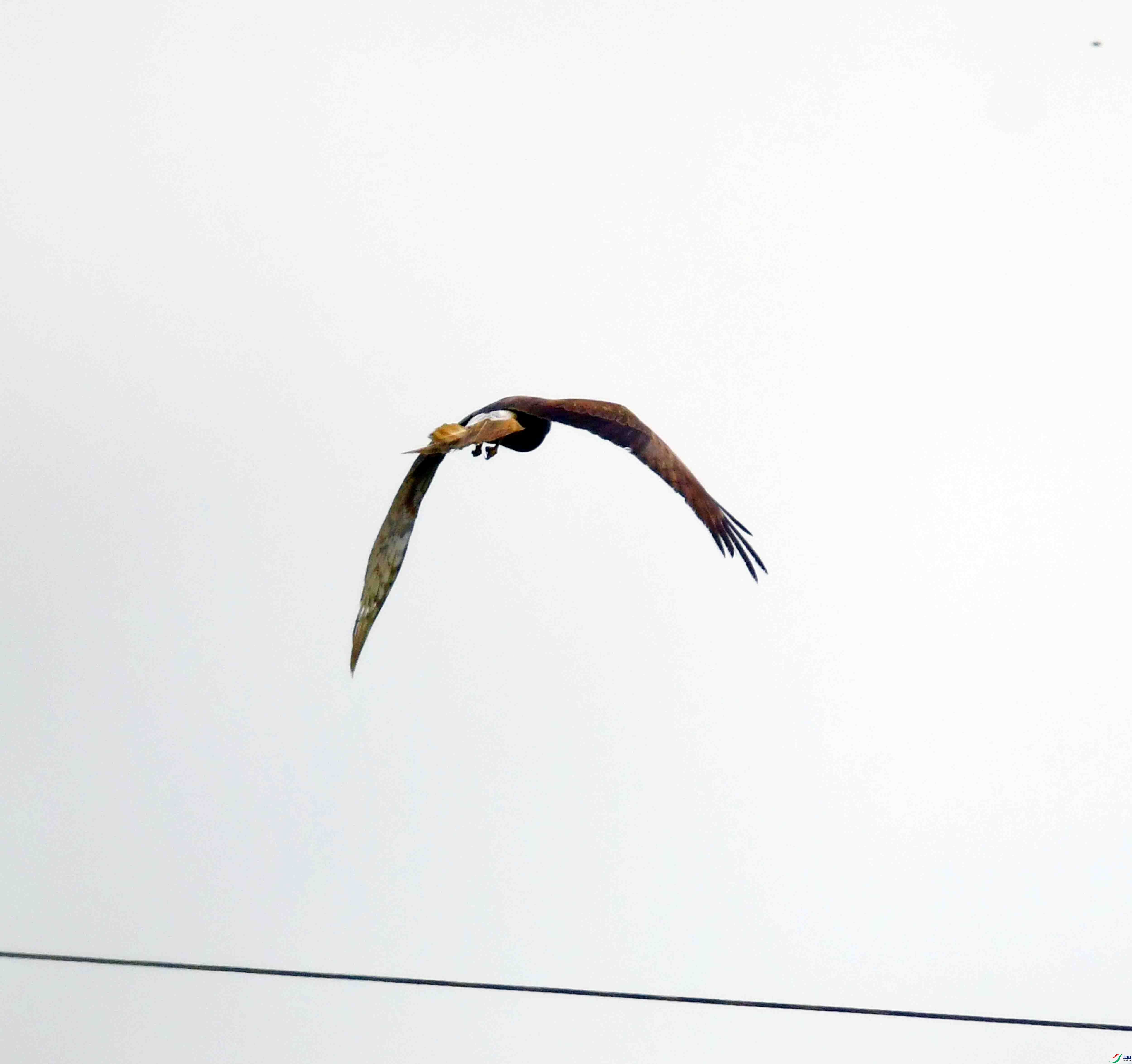 DSC_3724.JPG