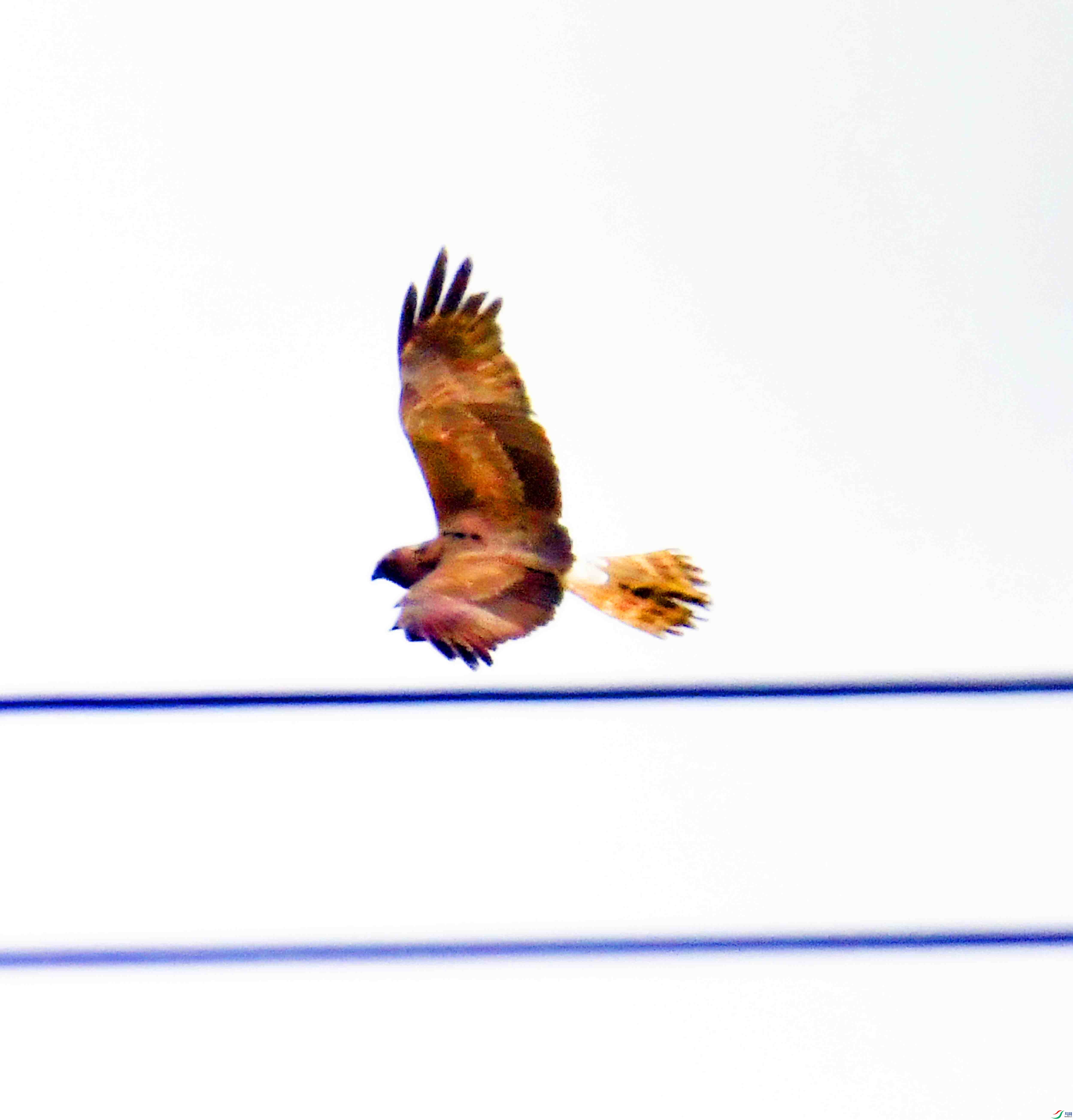 DSC_3729.JPG