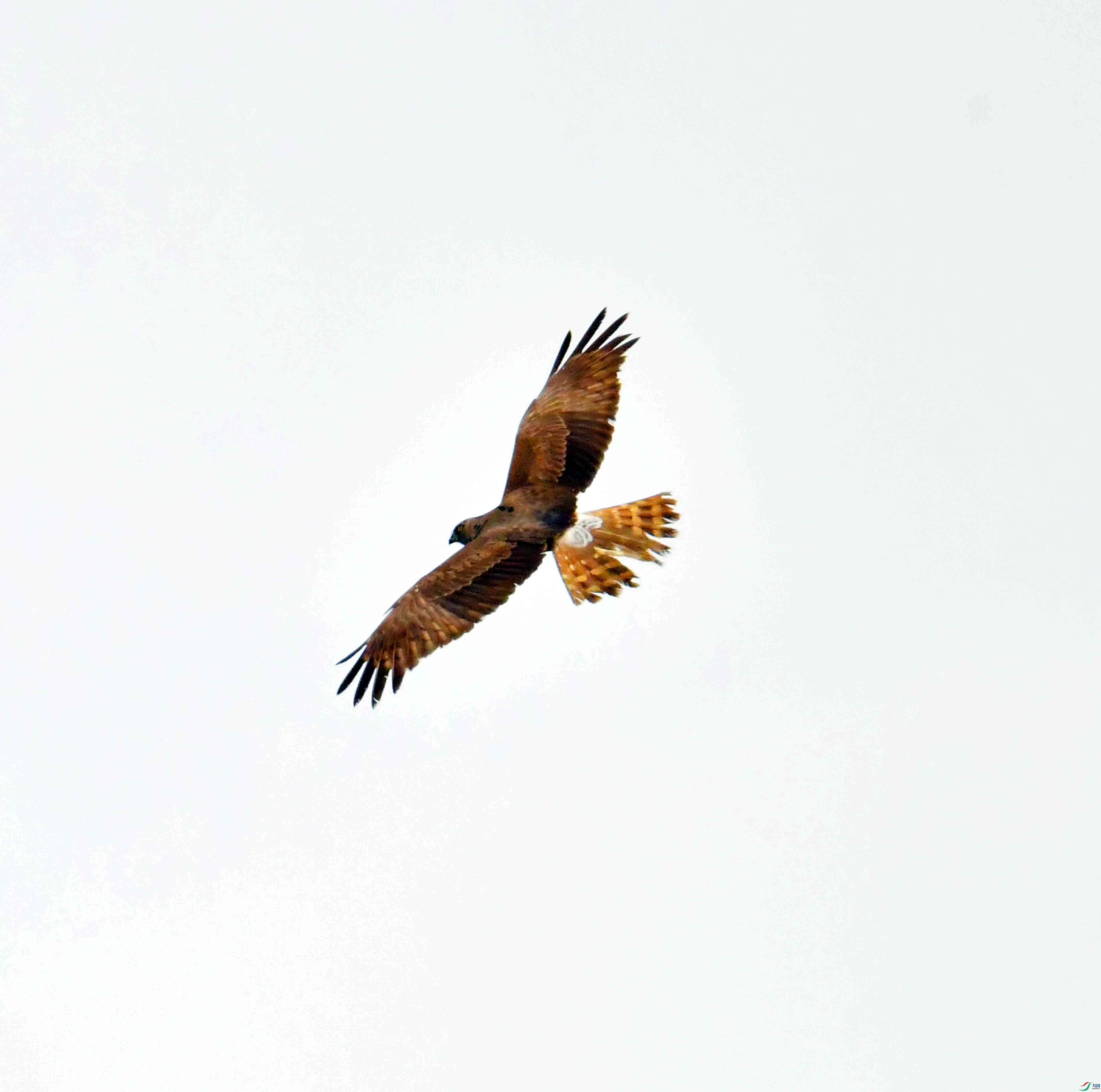 DSC_3739.JPG