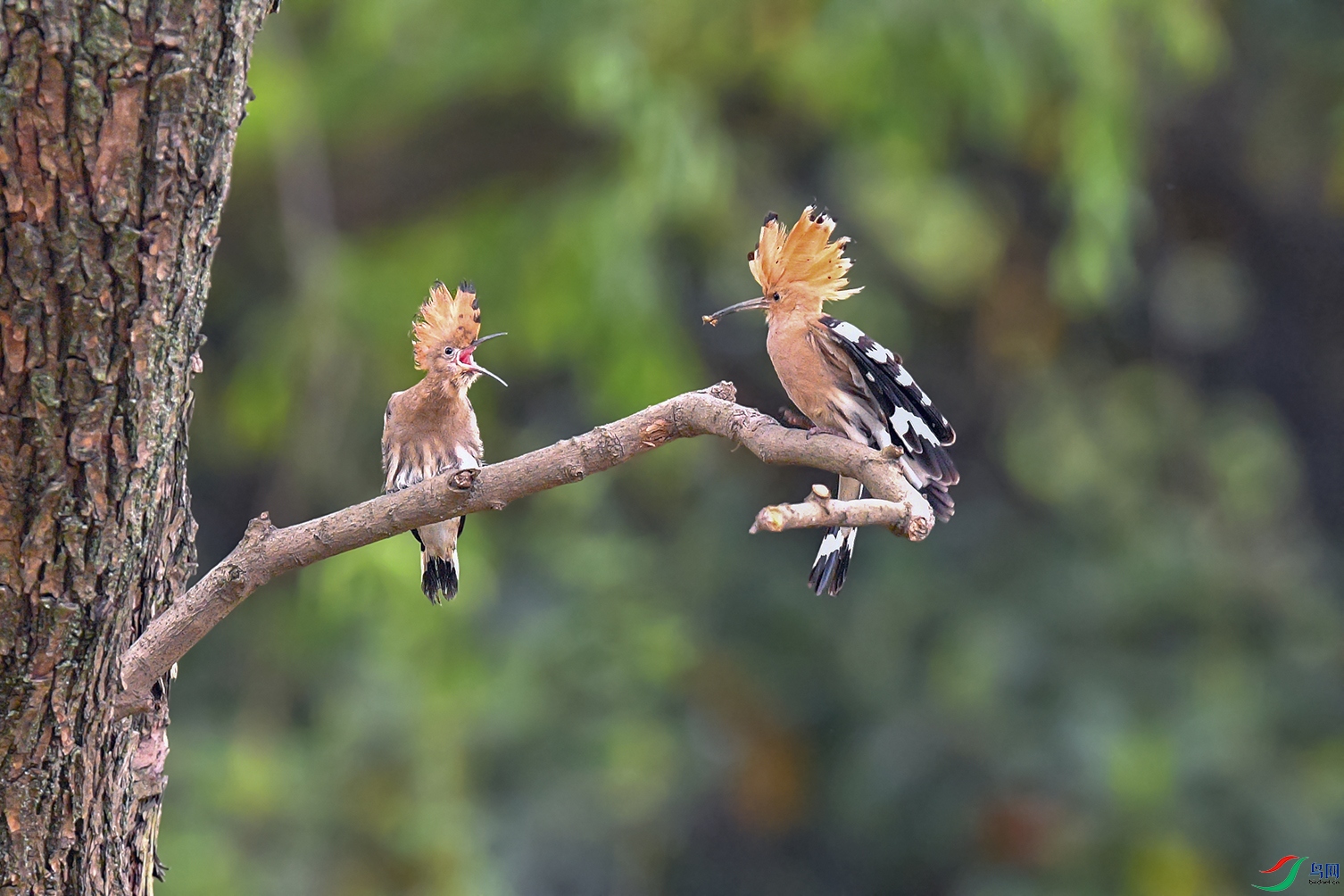 DSC_4361aa4.jpg