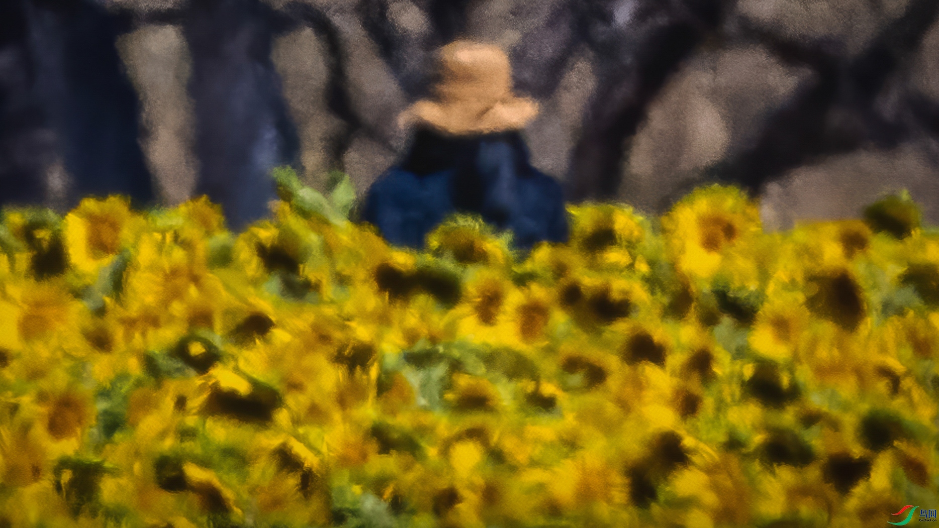 �����ڰ��ް������ء�