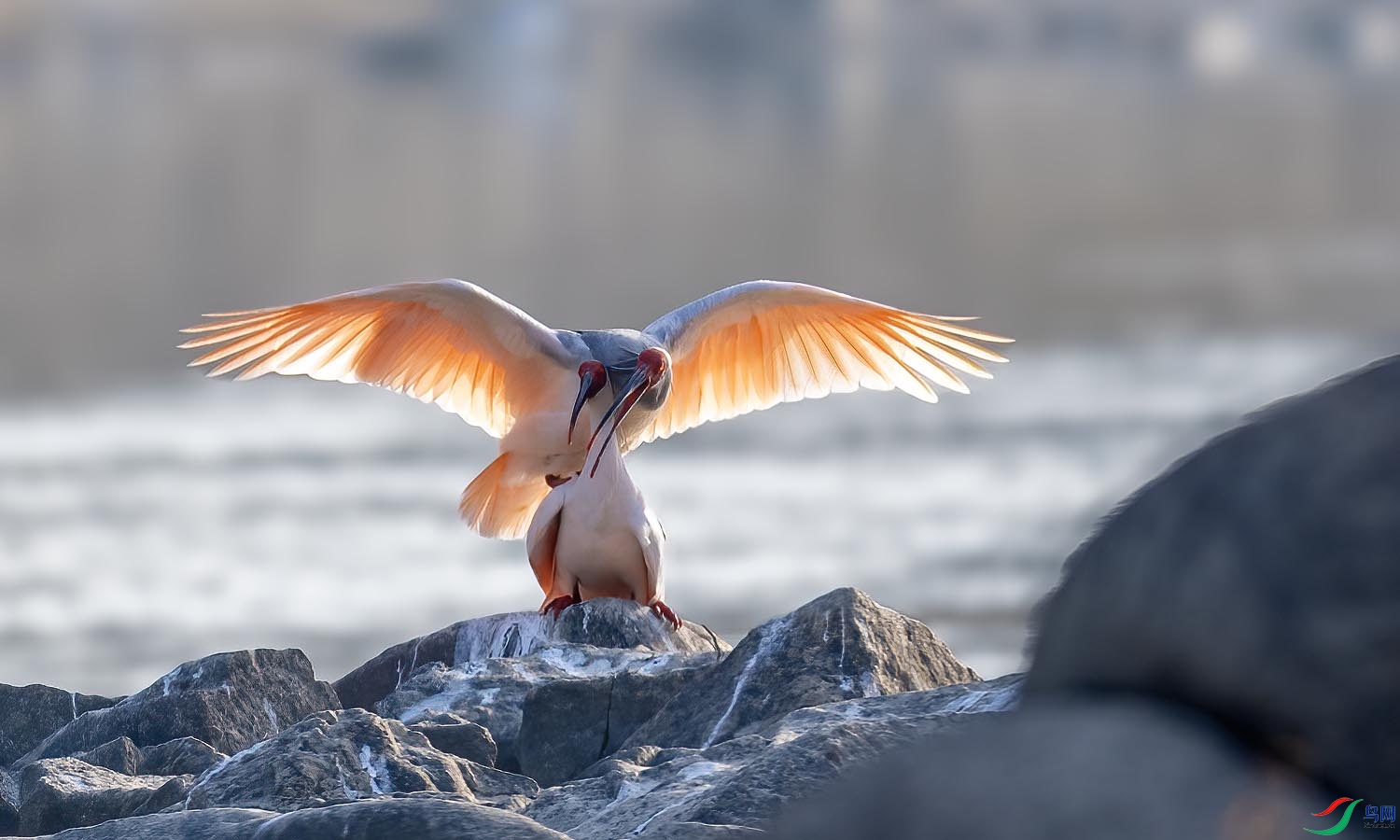 DSC_8165 ����.jpg