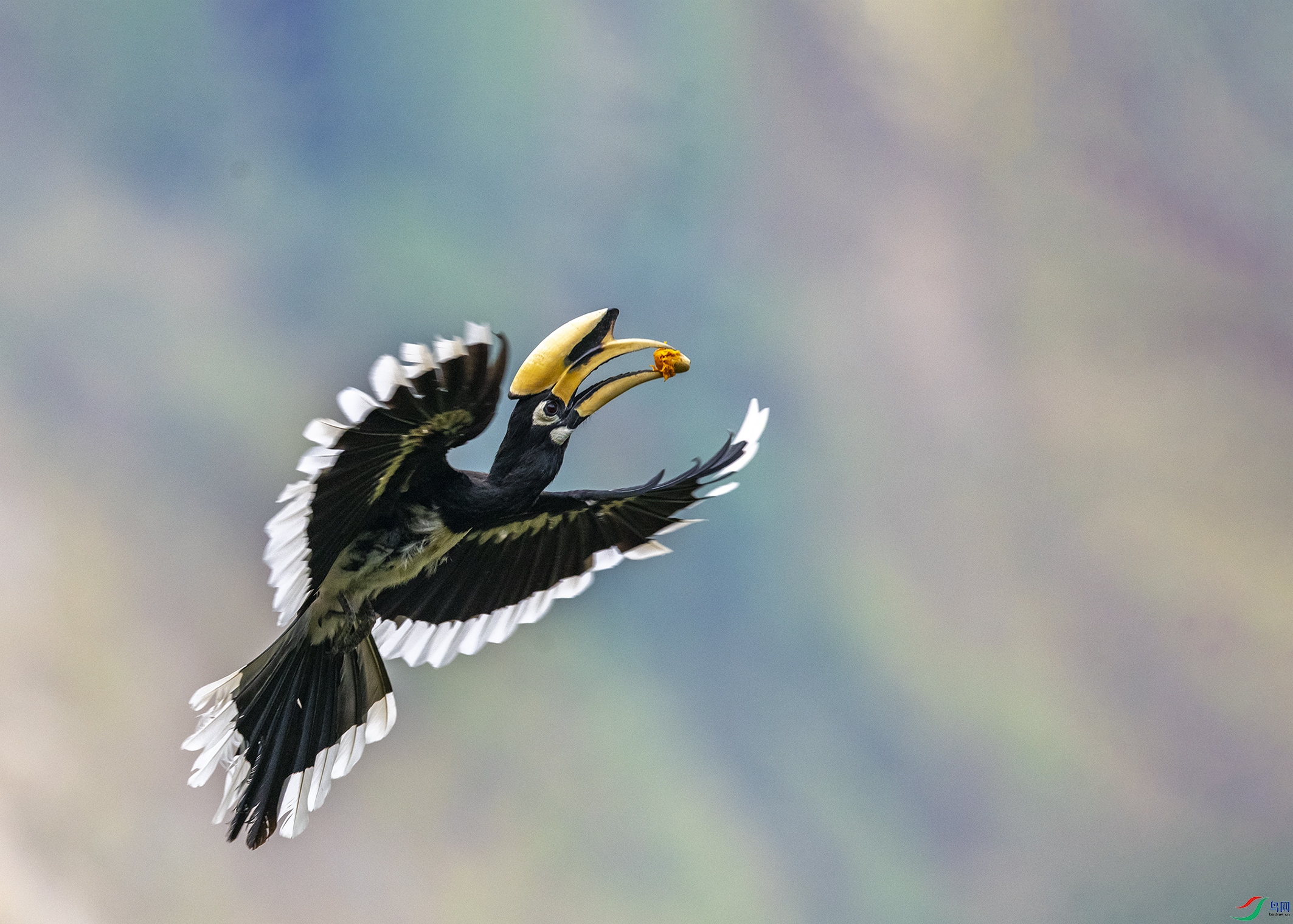 7280 ����.jpg