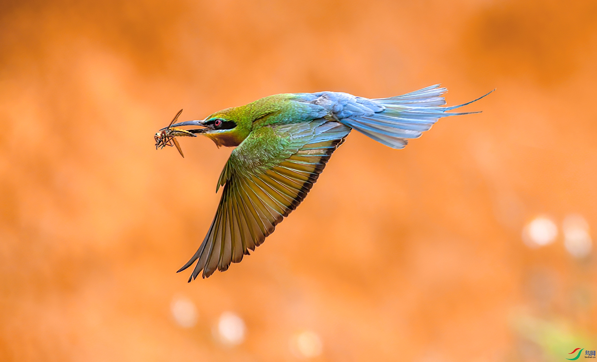 407A7312 ����-Sh---1 .jpg