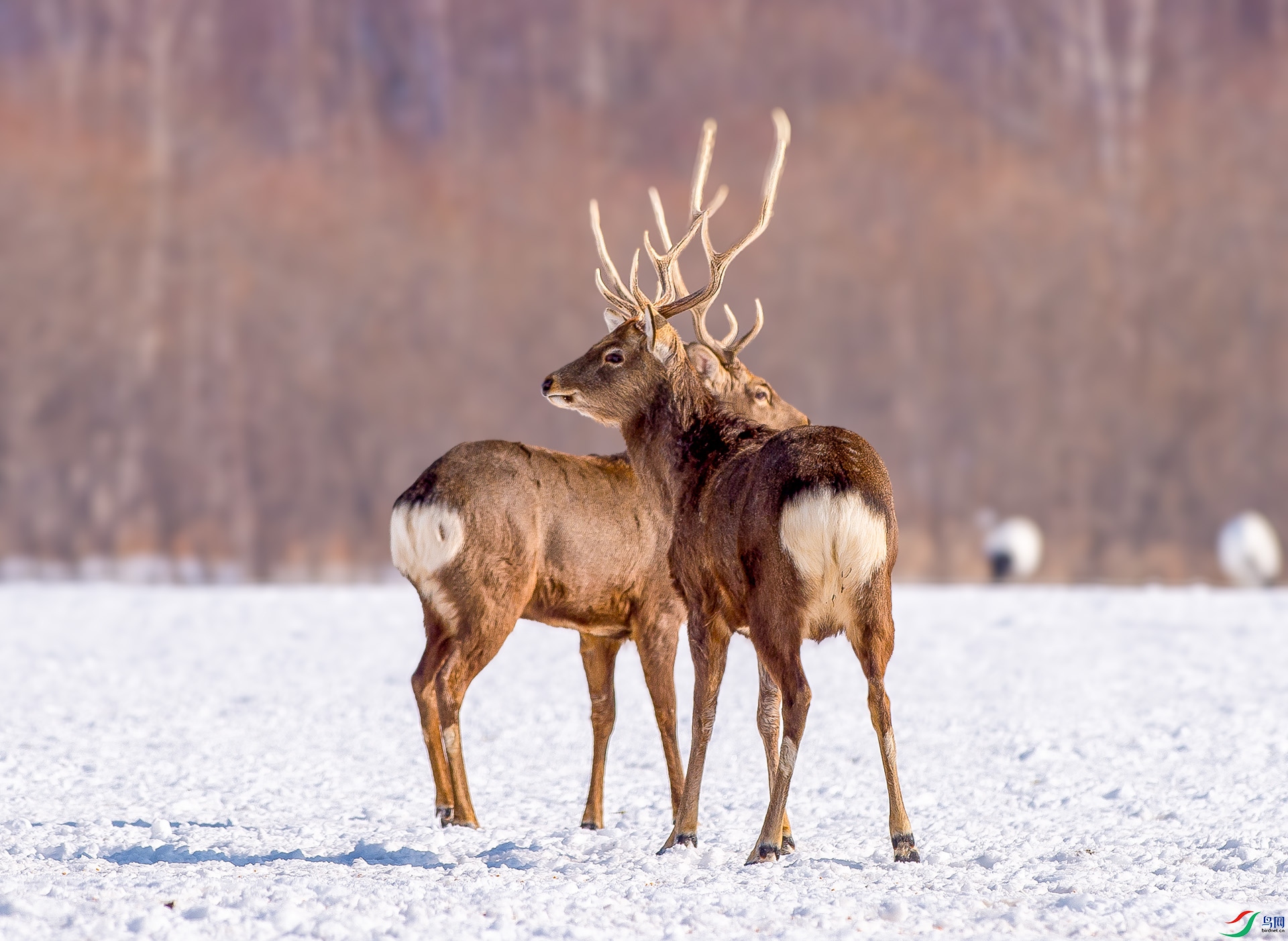 ��DSC_1350.jpg
