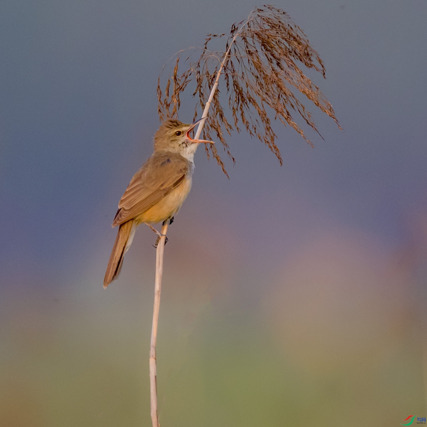 _90I5622 ���� 2.jpg