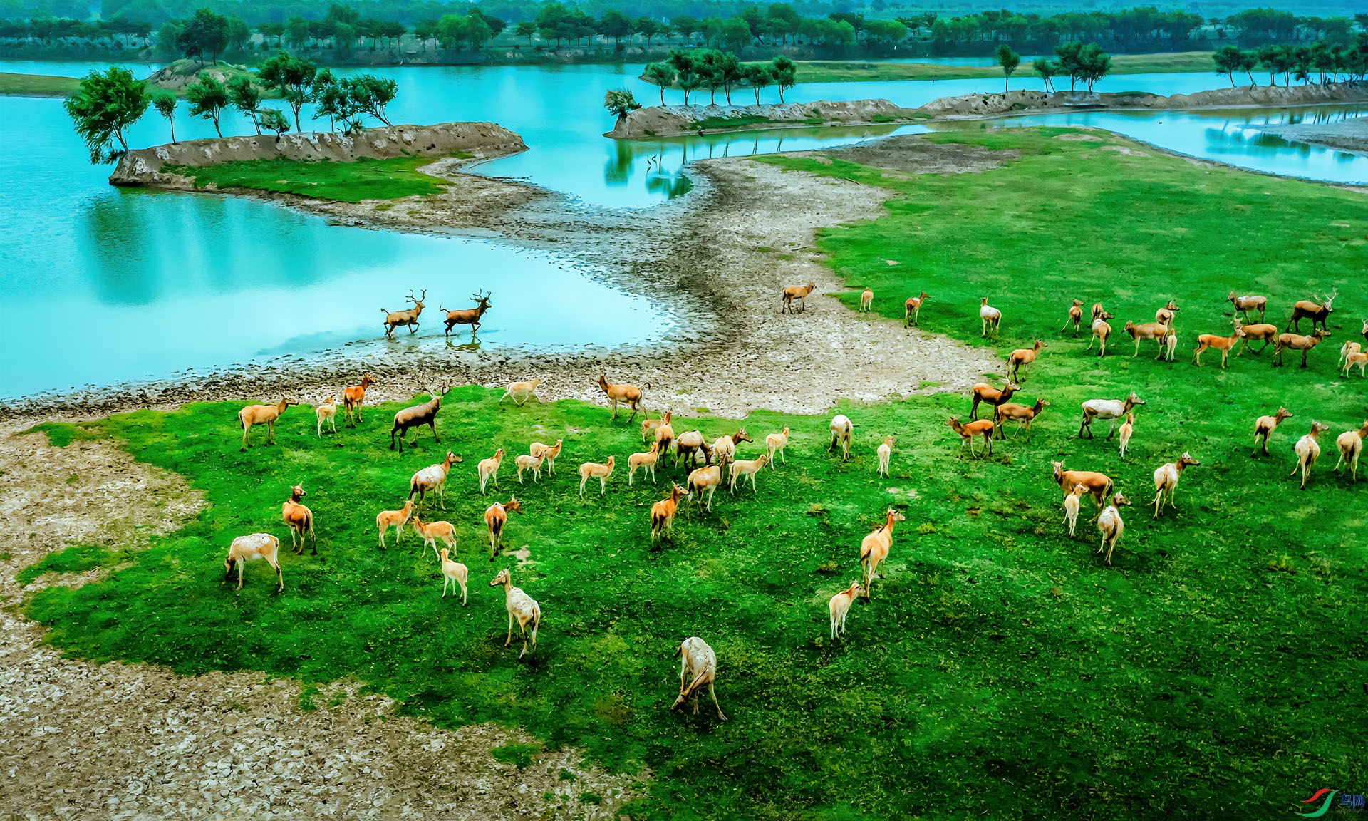 DJI_0154.jpg