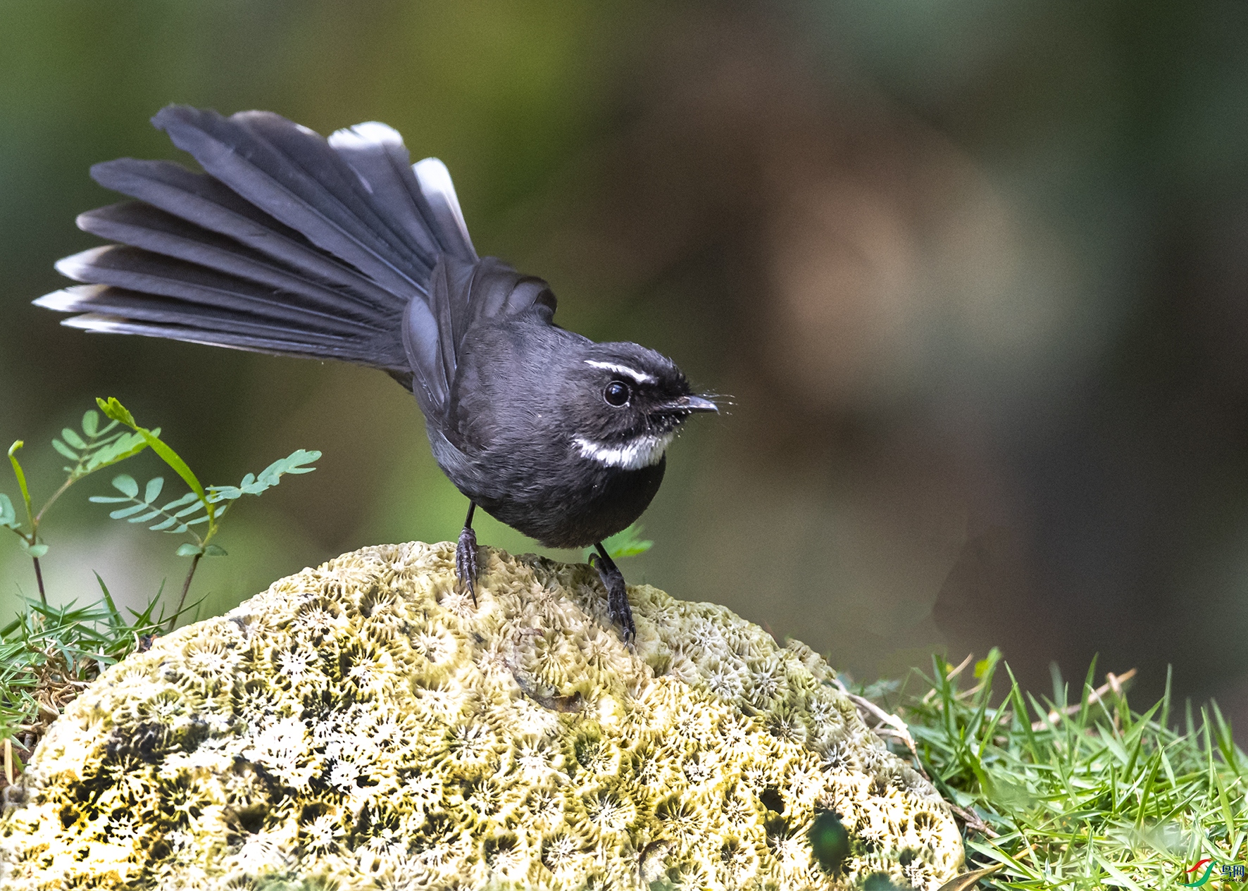 6824 ����.jpg