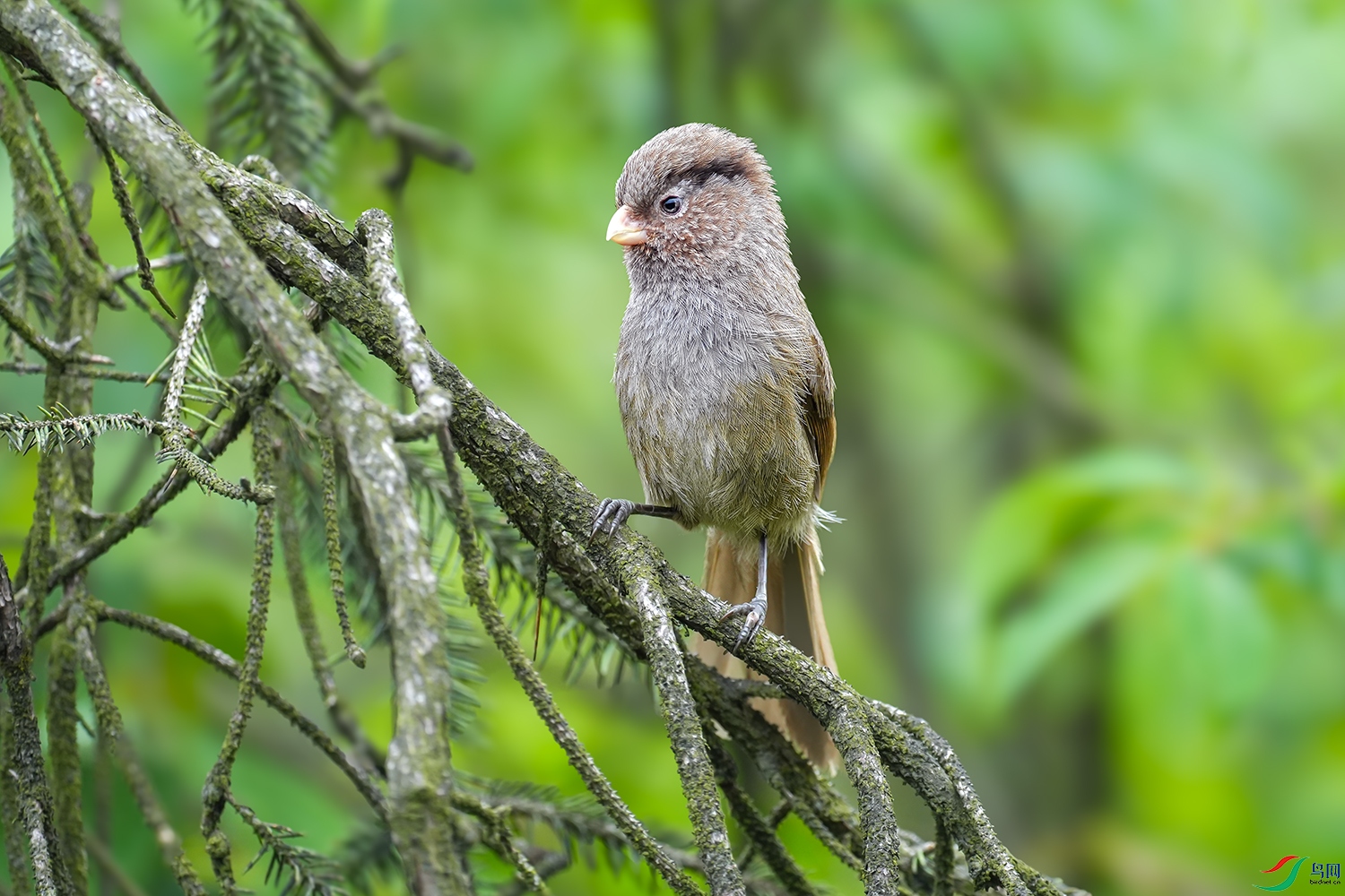 DSC09873 ���� 2.jpg