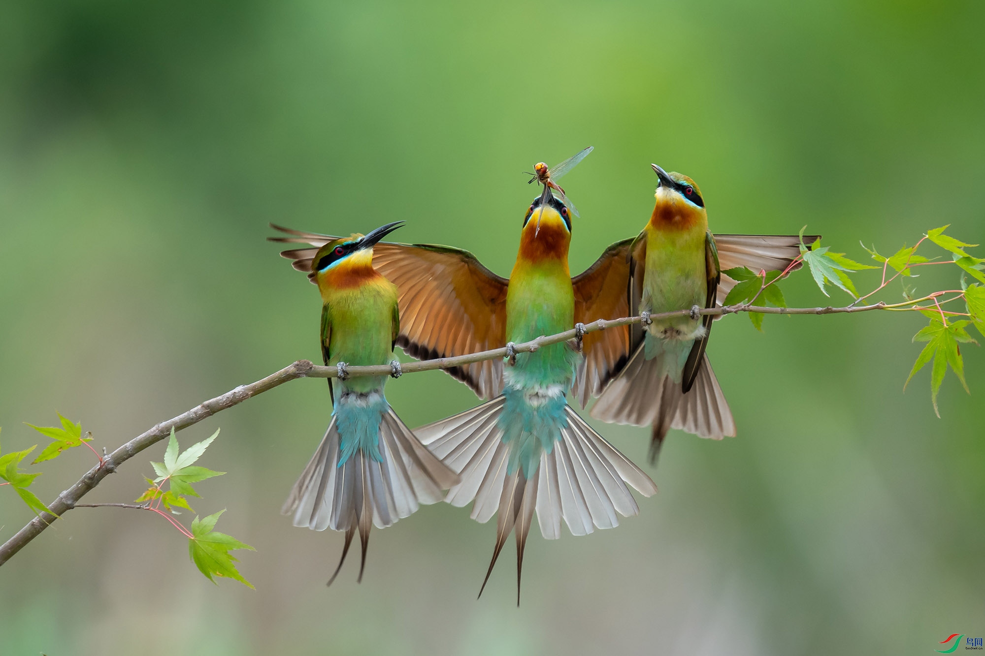 DSC_9002 ���� 2.jpg