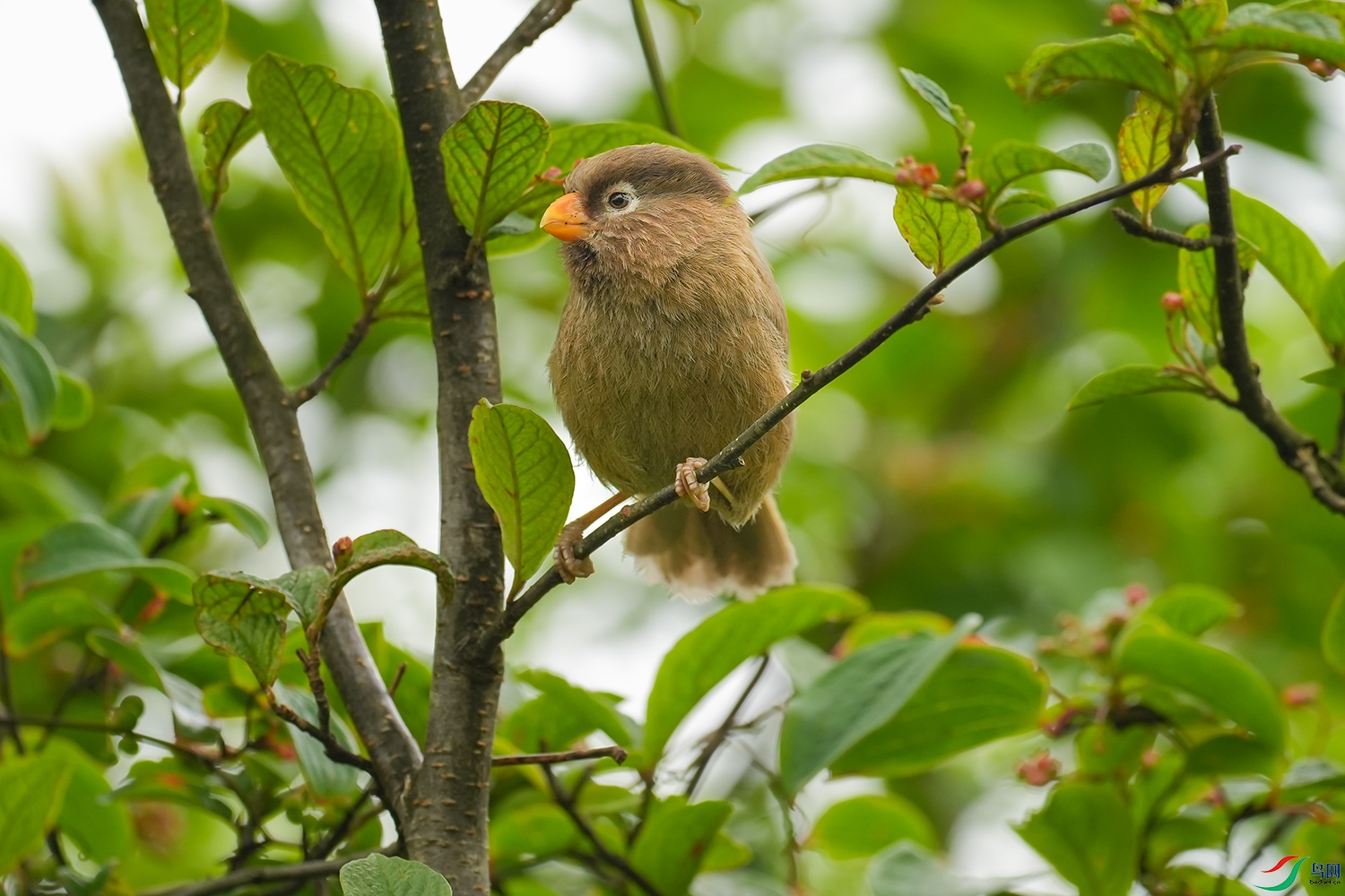 DSC09662 ���� 2.jpg