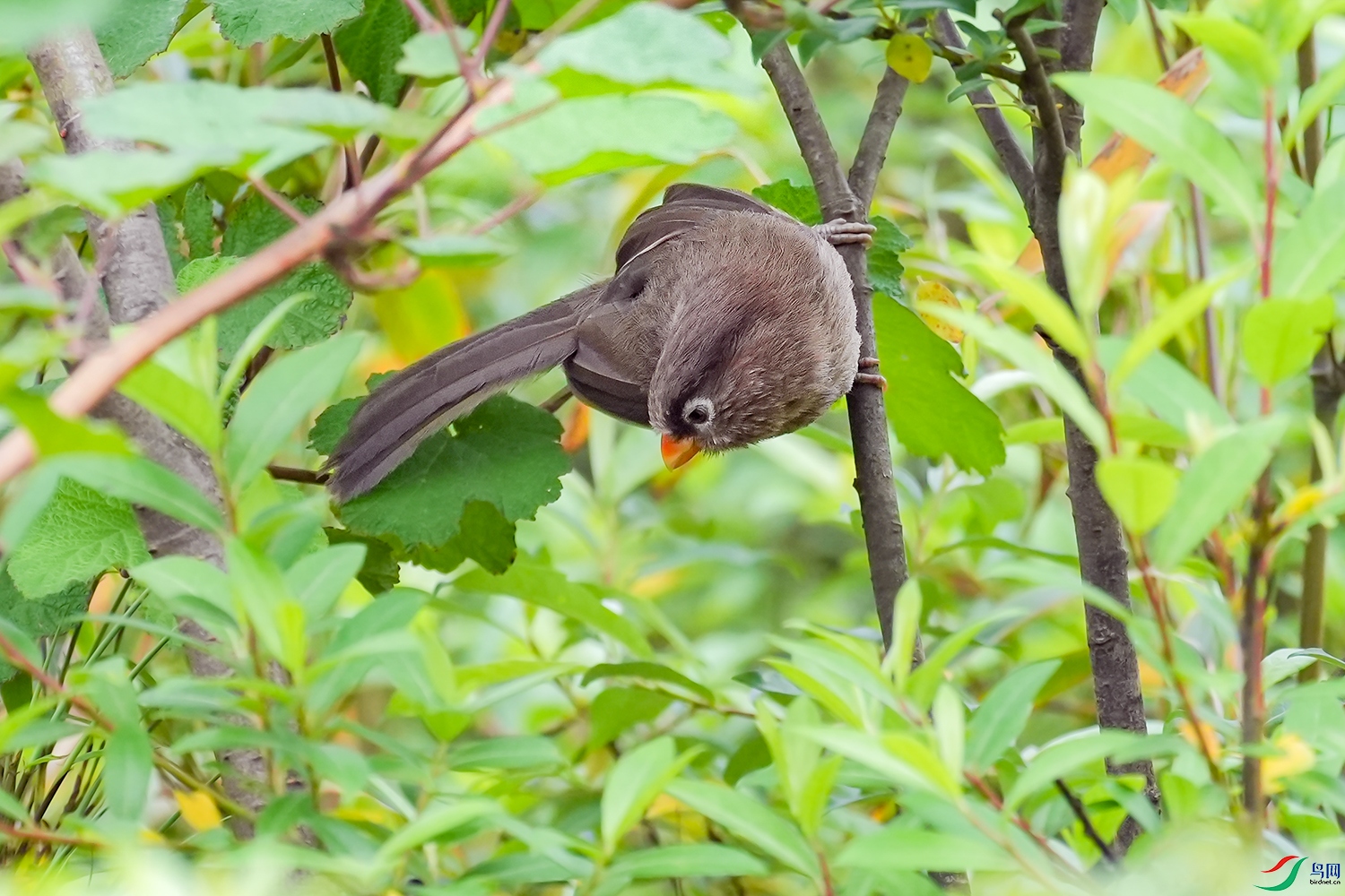 DSC09621 ���� 2.jpg