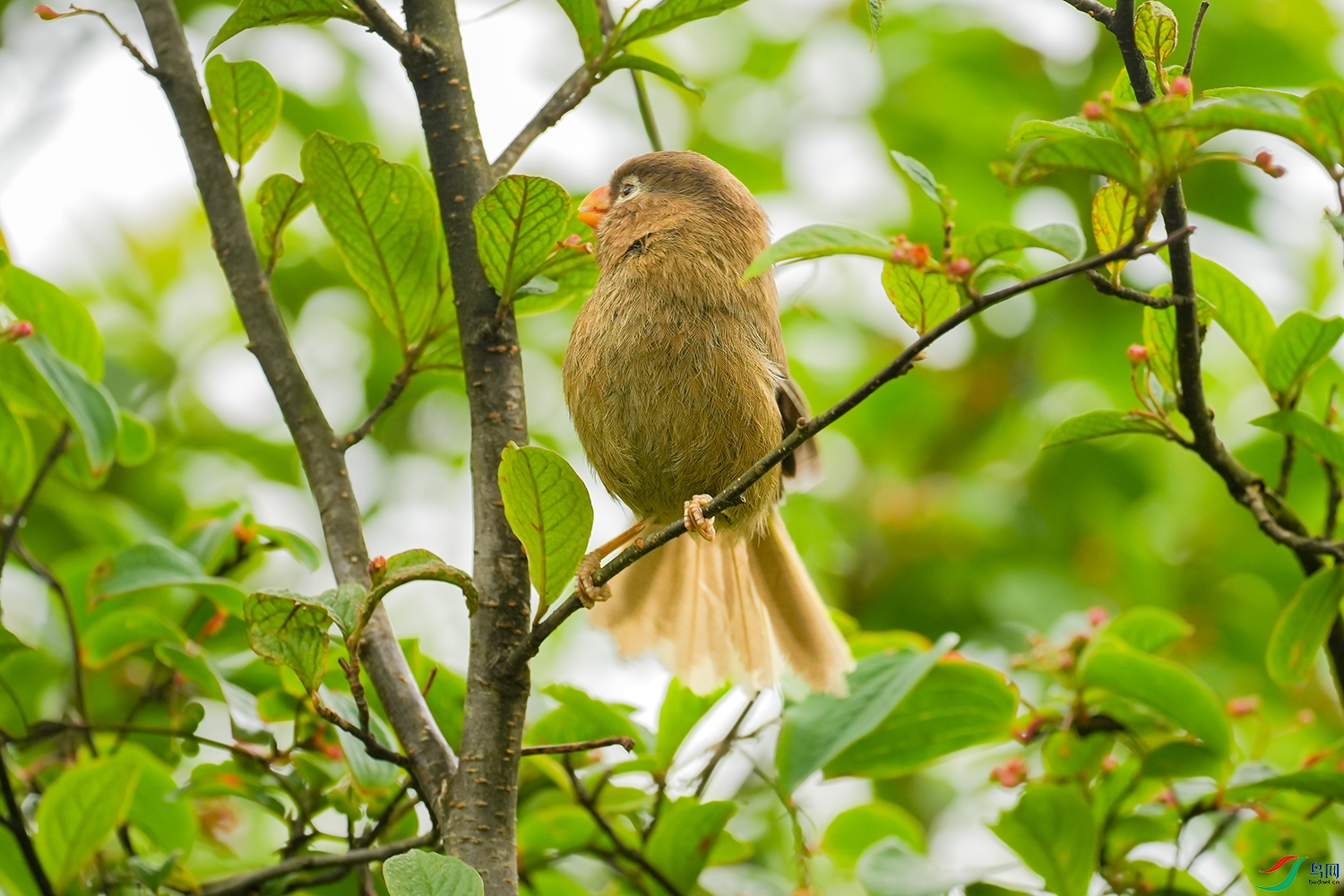 DSC09665 ���� 2.jpg