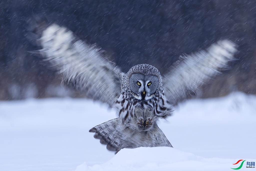 ÿ��һͼ  �����^  ���� ���ַ� ����.jpg