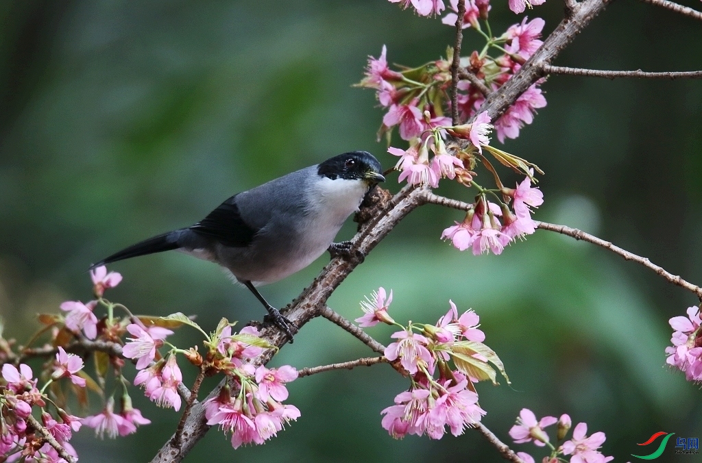 ���� 0F4A0255.JPG