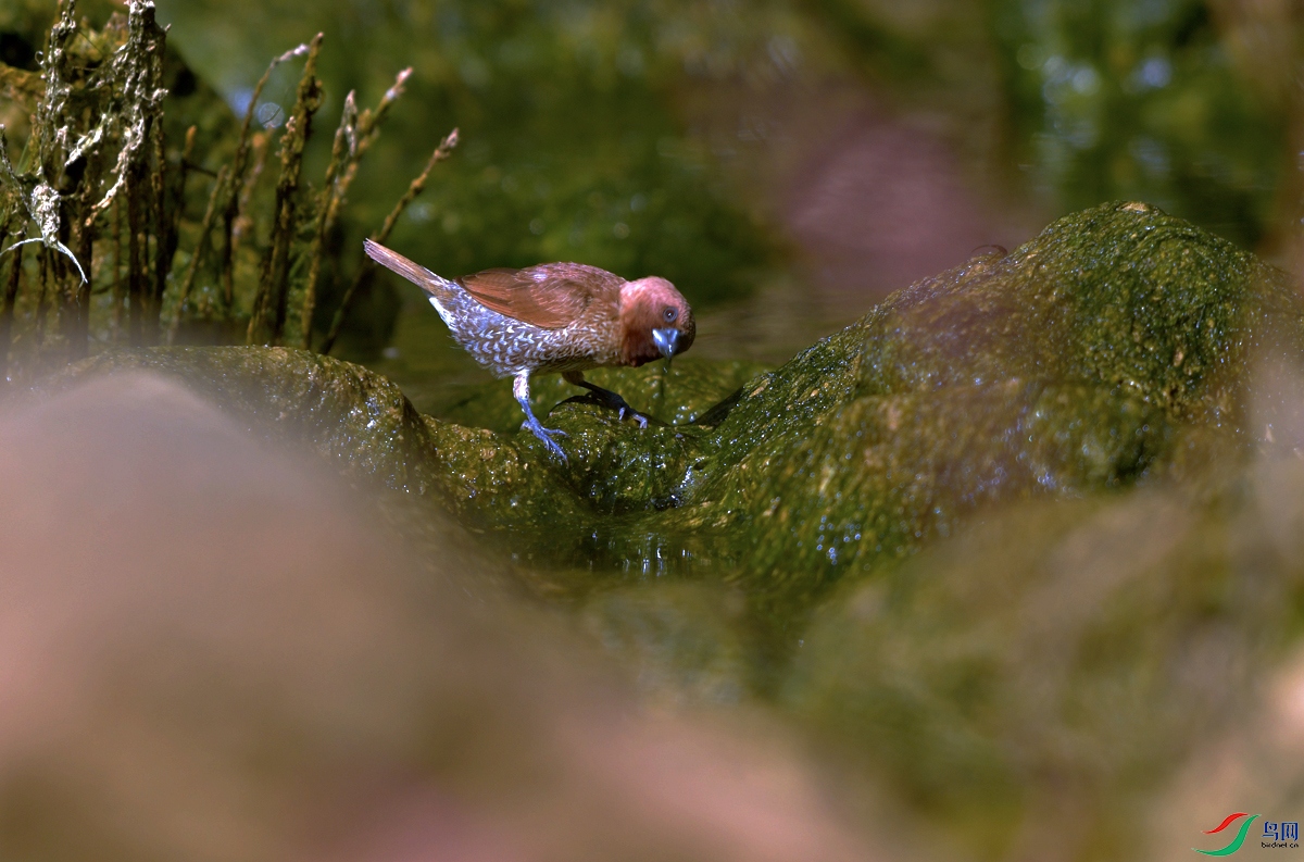 DSC_4042.JPG