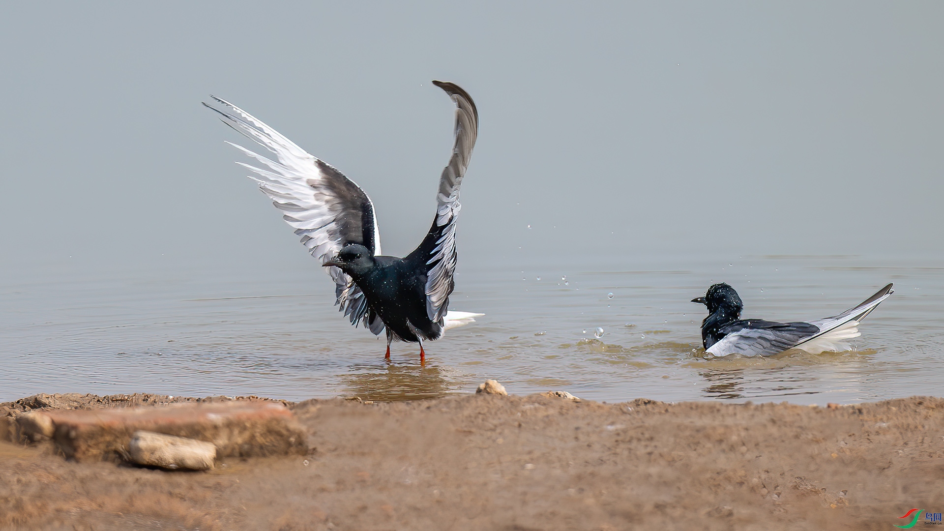 DSC_4438-����ǿ-NR.jpg
