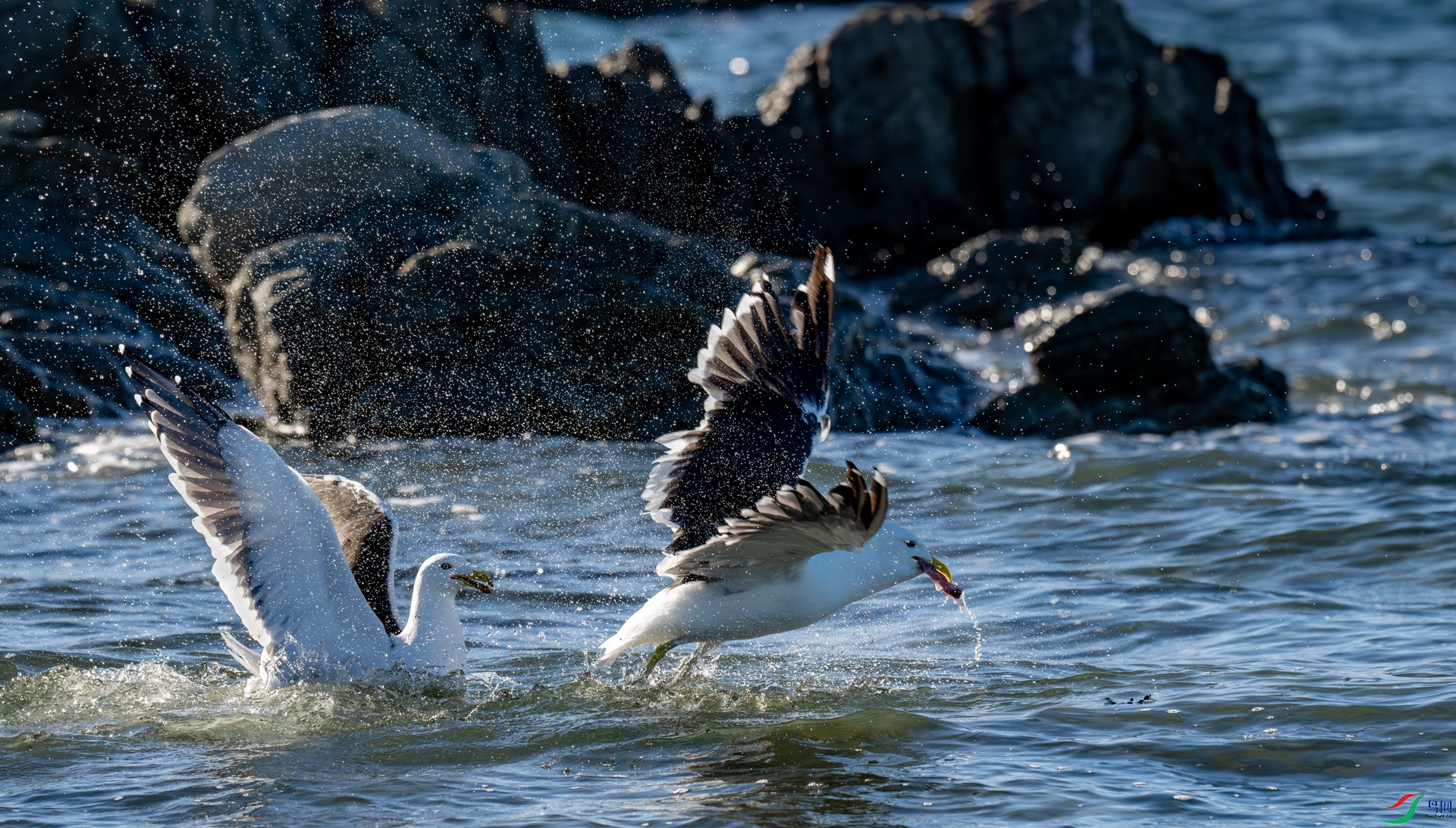 DSC_5642.jpg