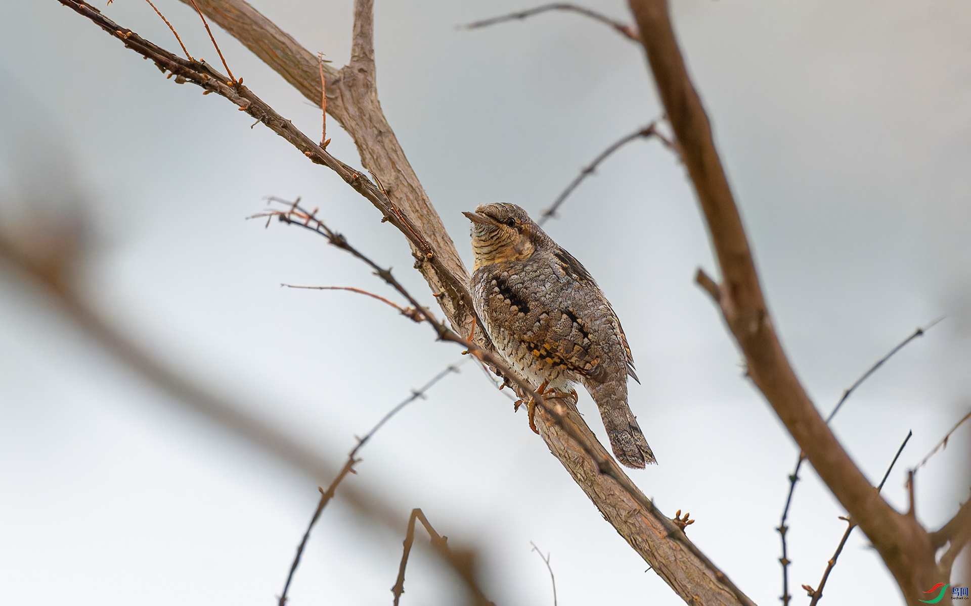 DSC_7280.jpg