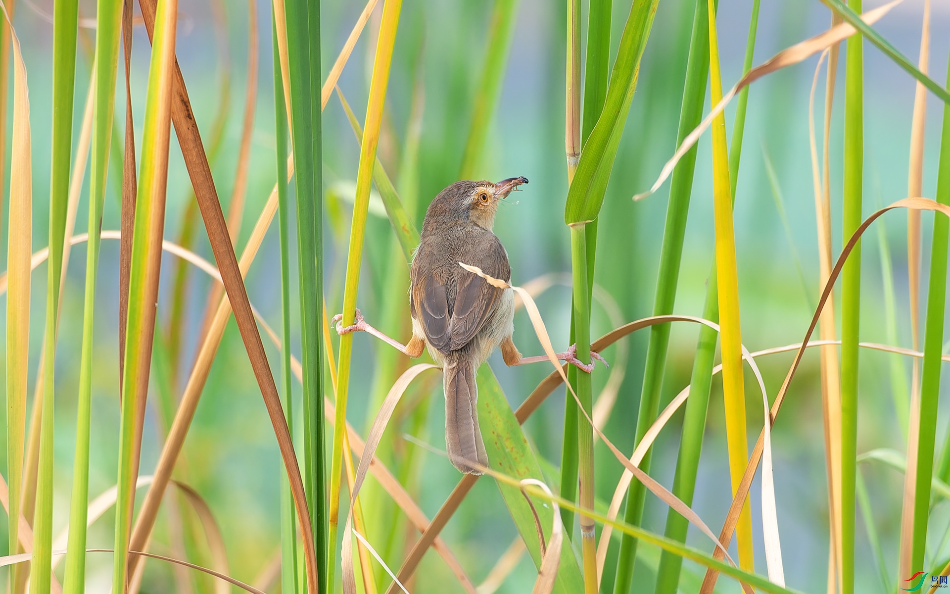 DSC_8536.jpg