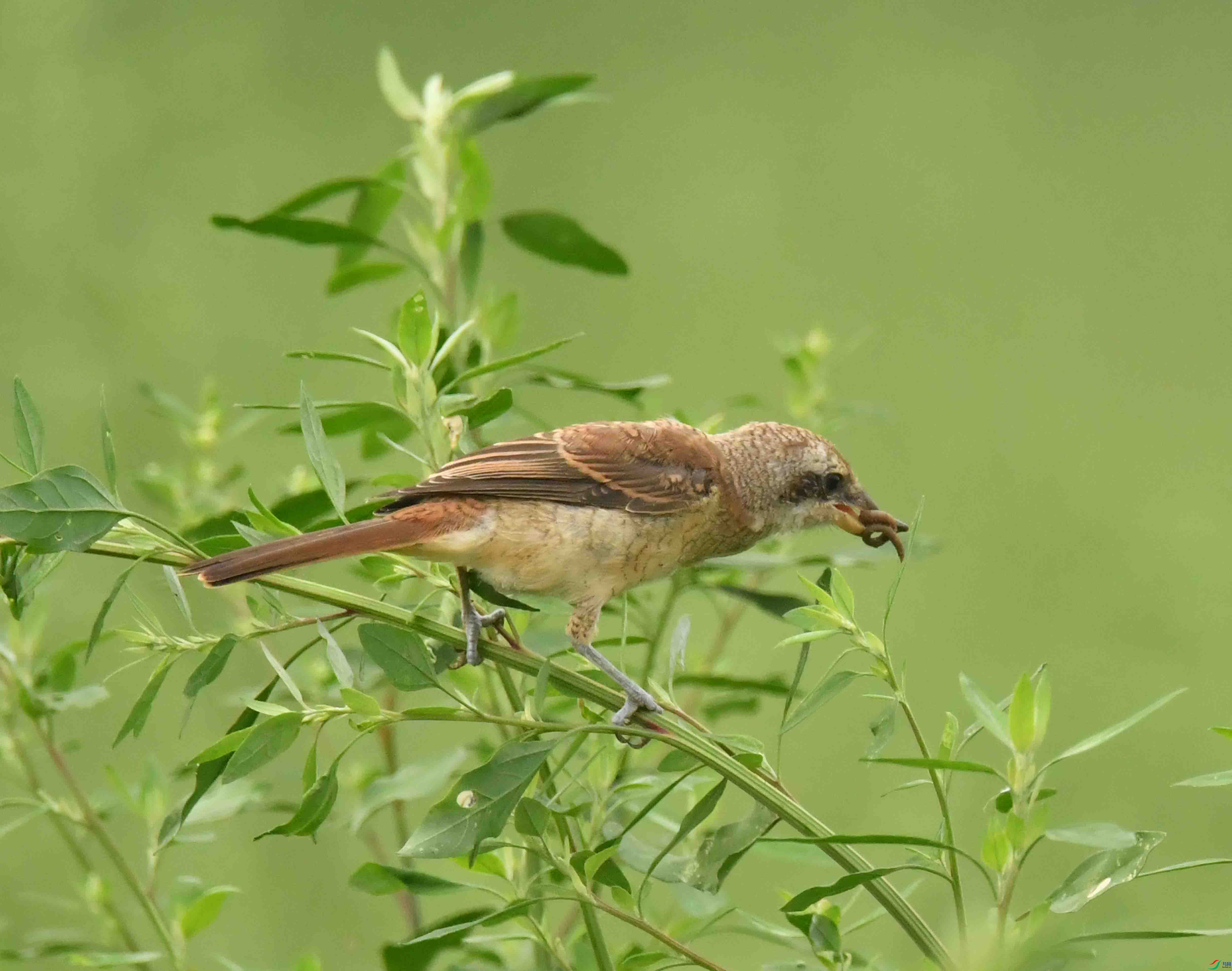 DSC_8576.JPG