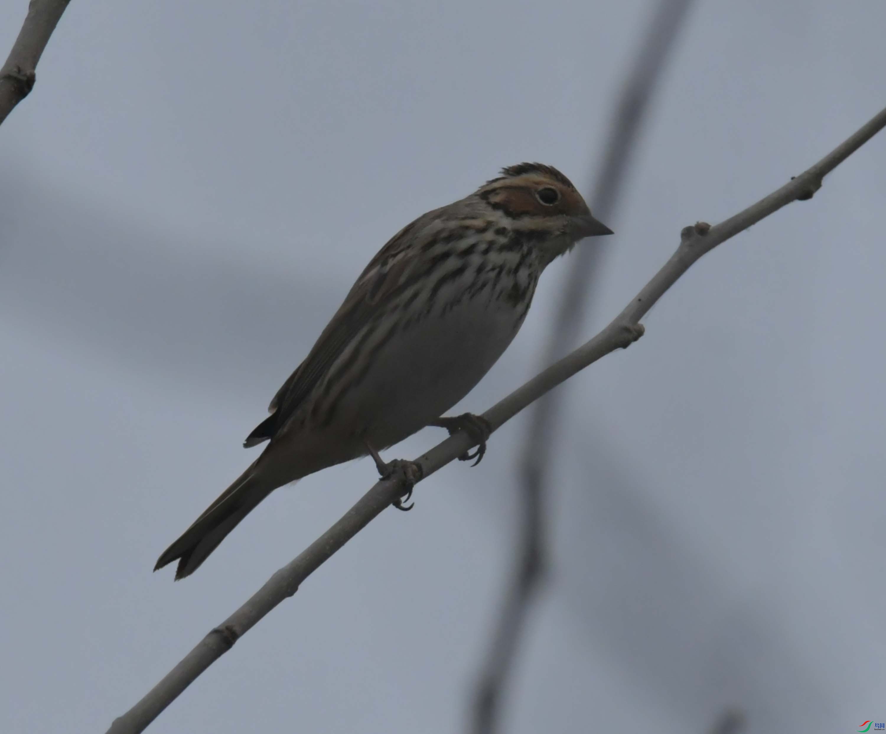 DSC_4495.JPG