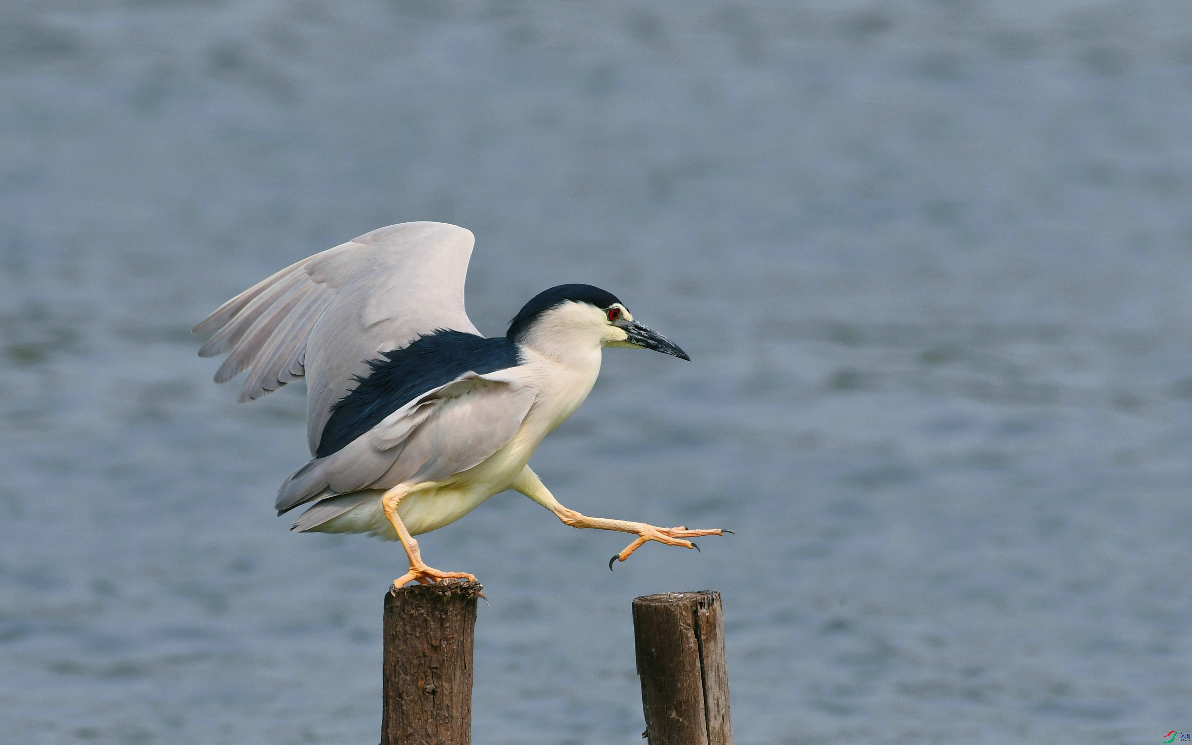 DSC_1116.JPG