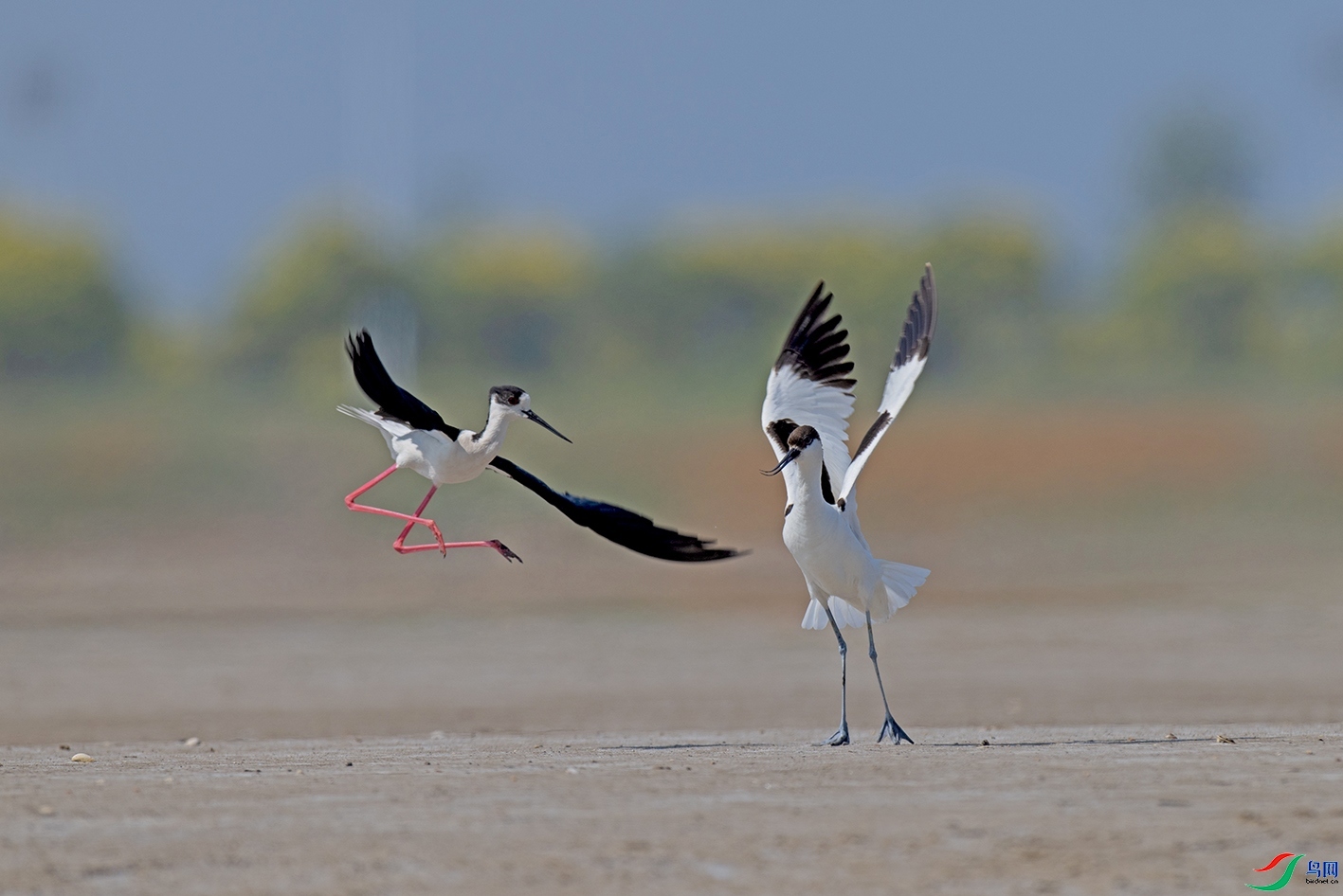 �ڳ᳤����  ������ ���� ������ǰ ��һ.jpg