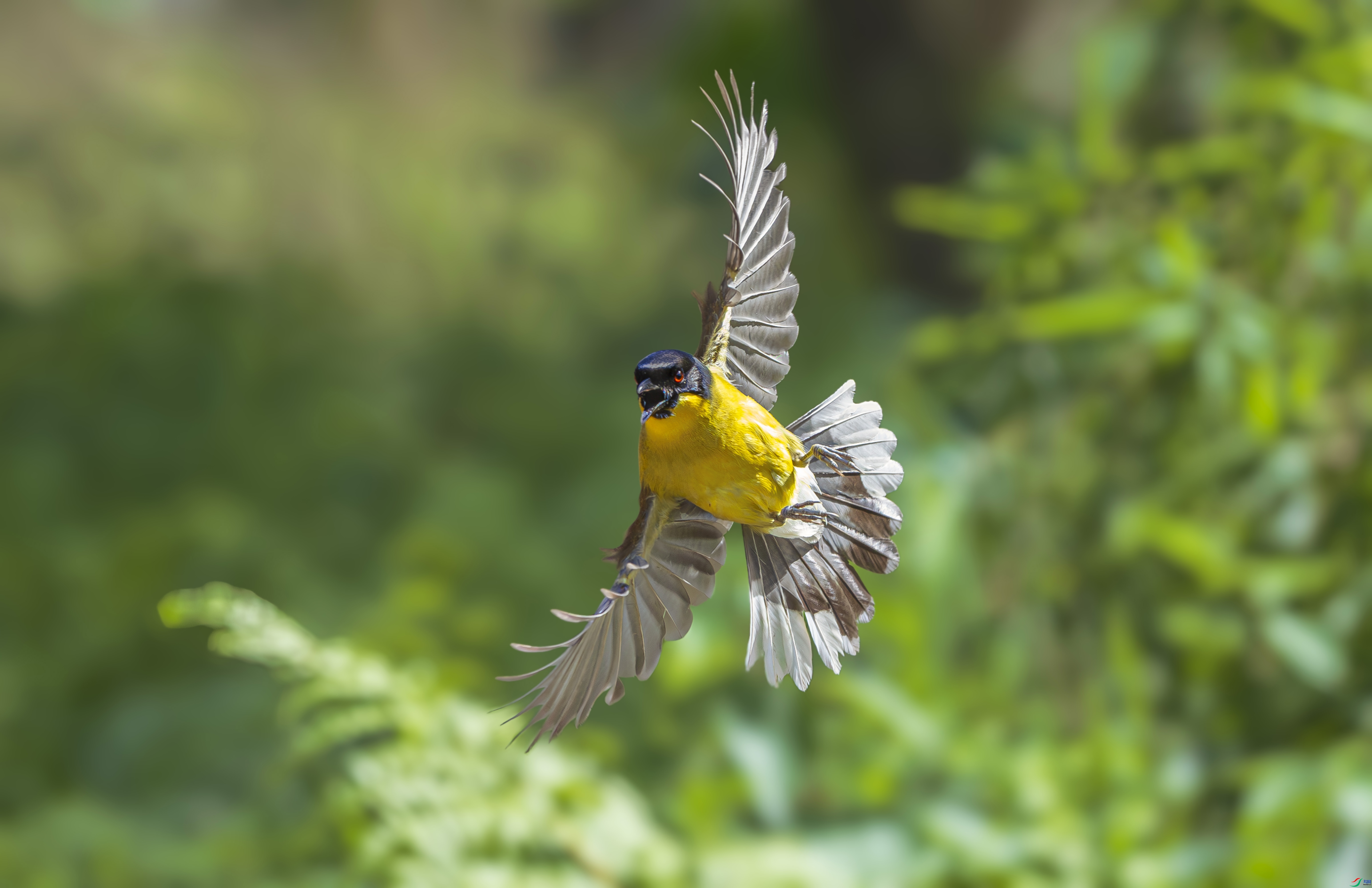 ������� ���� ������  �ܶ�.jpg