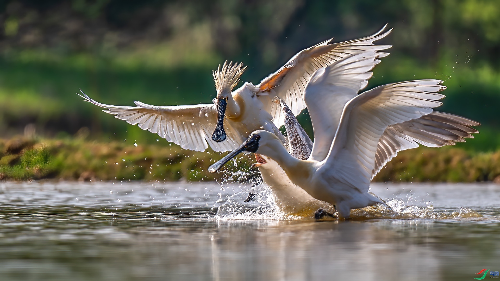 �������� ���� ��ѧ�� �ܶ�.jpg