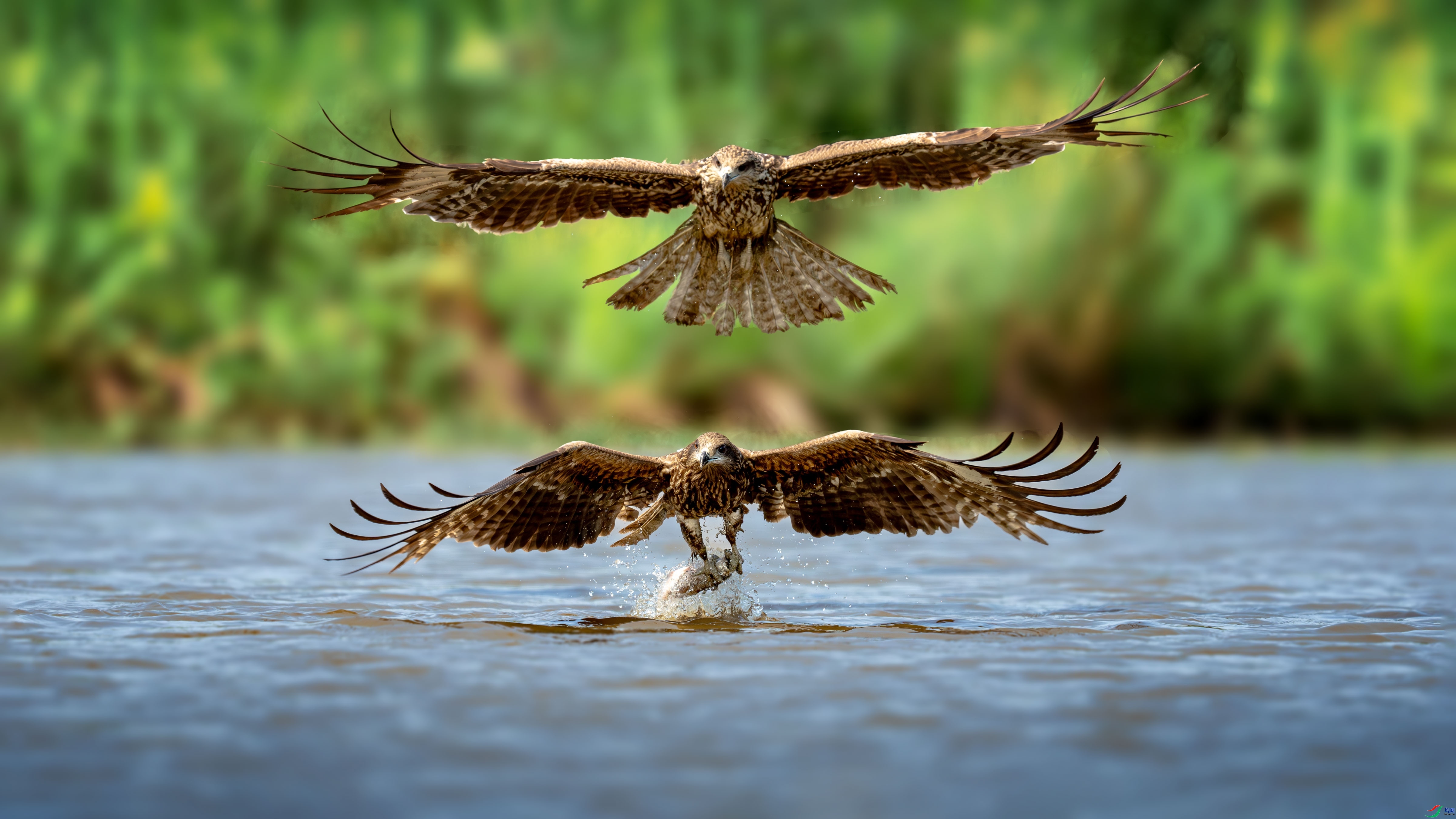 ���� ���� �������� ����.jpg