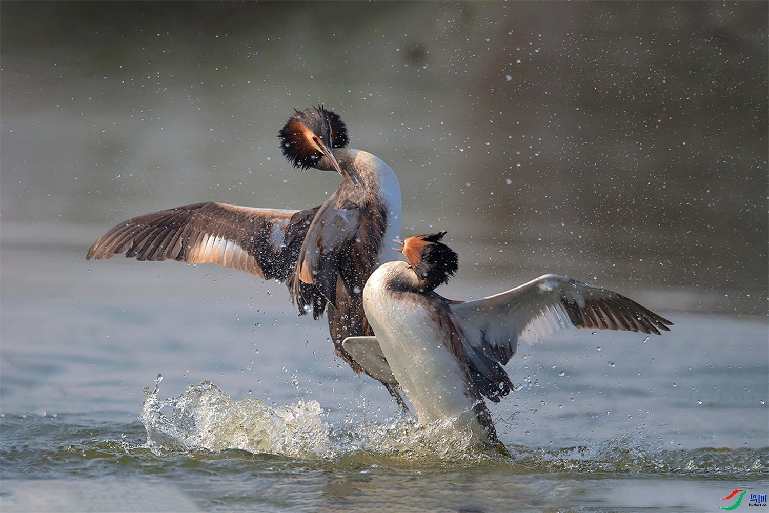 ����  ���� ͧ�� ����.jpg