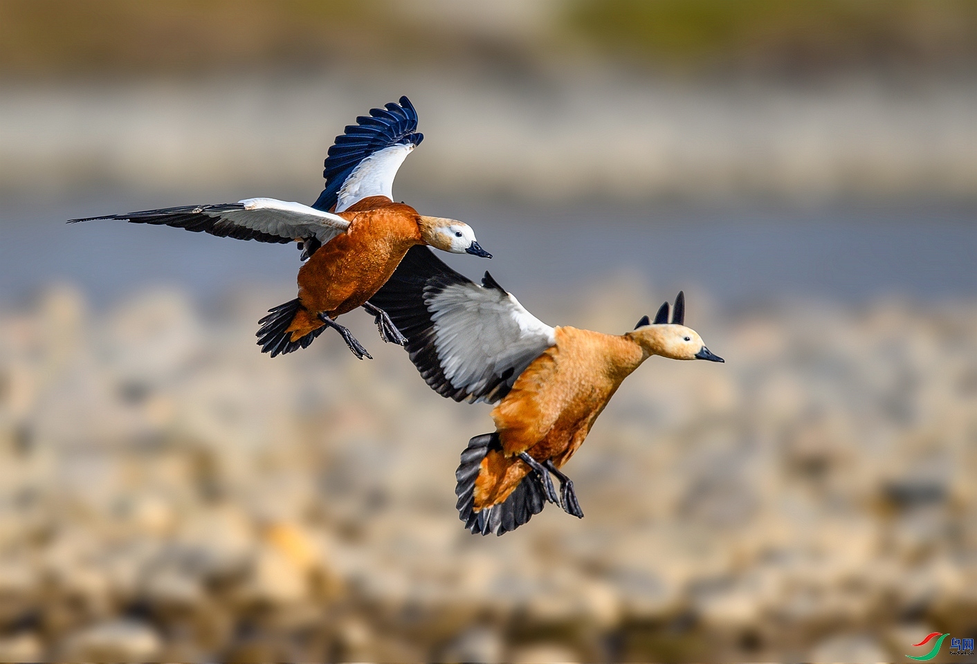 һ����  ���� ������  ����.jpg