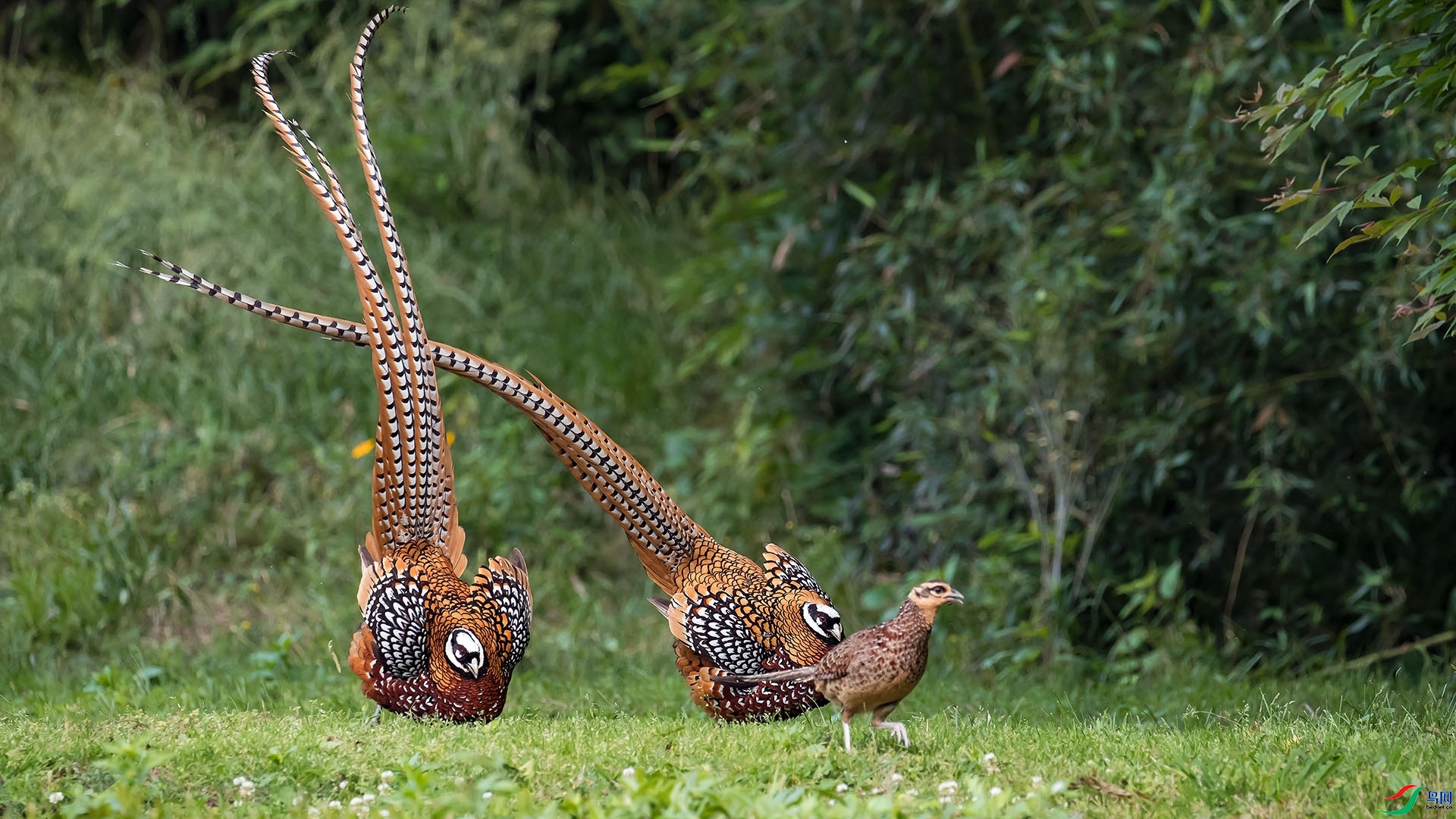 ��׷���� ���� ɽɽɽ ����.jpg