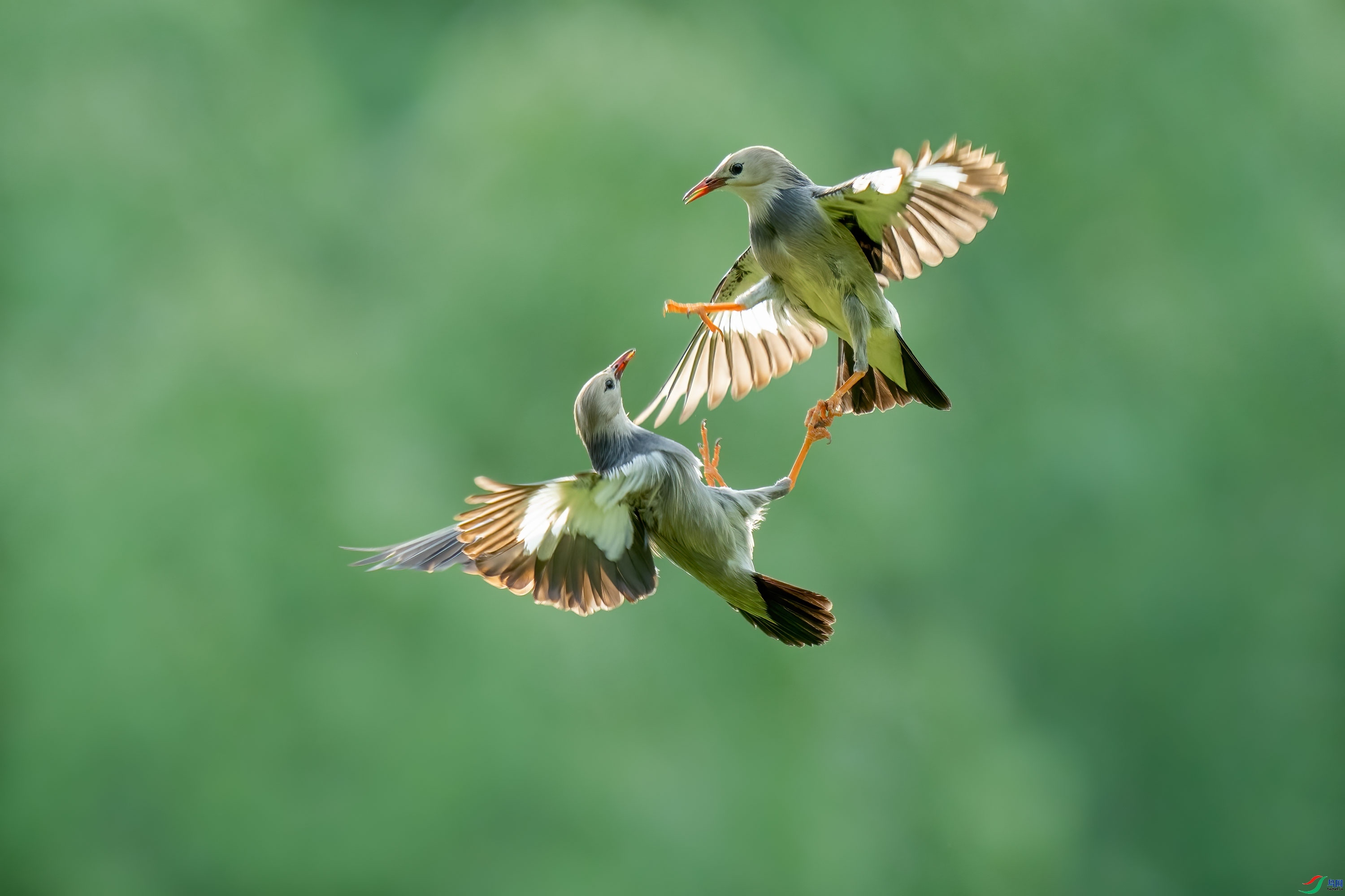 ��ս ���� ���� ����.jpg