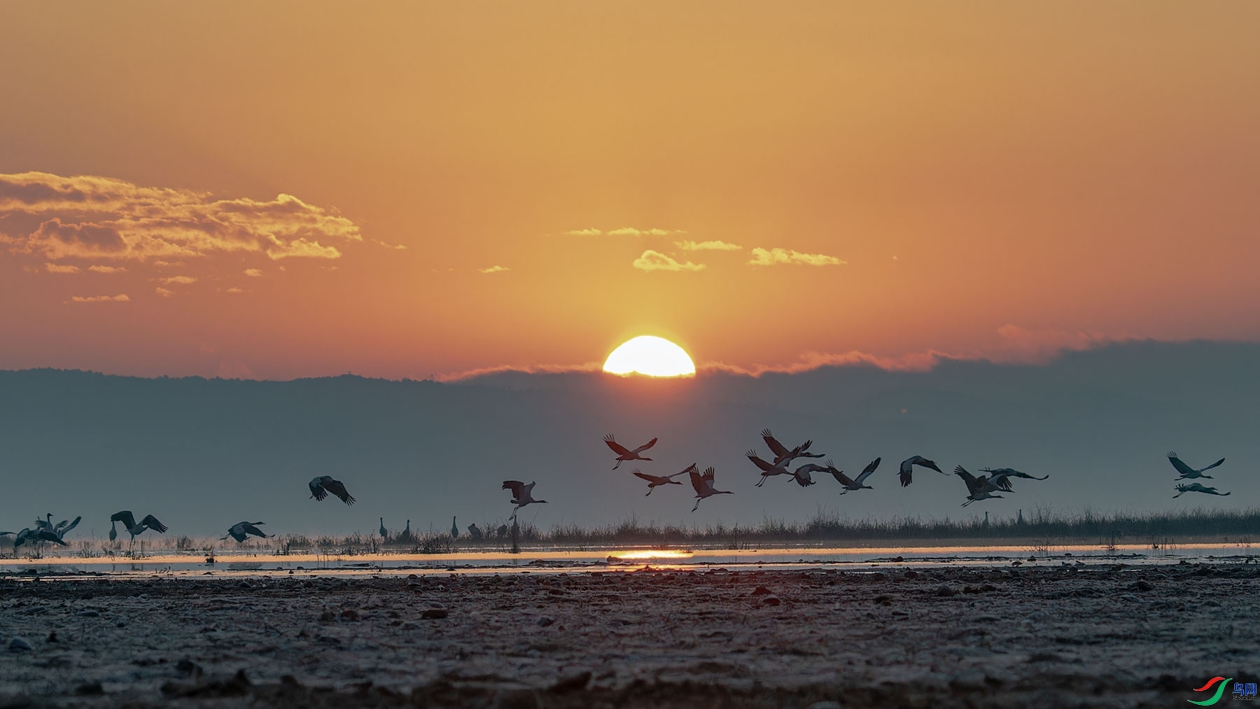 �ݺ��ճ� ���� ɽɽɽ ����.jpg