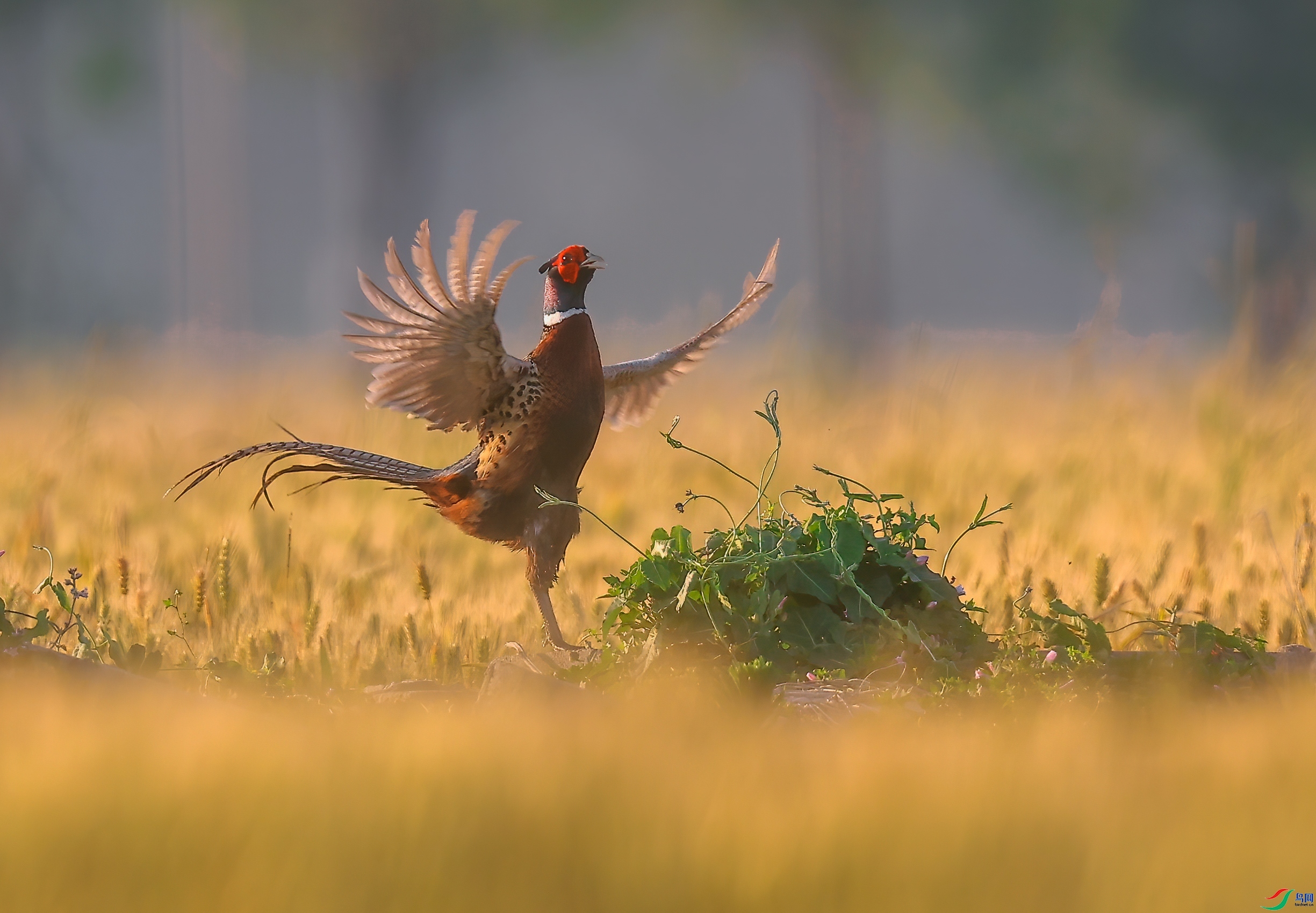 �質���� ���� һ·���� ����.jpg