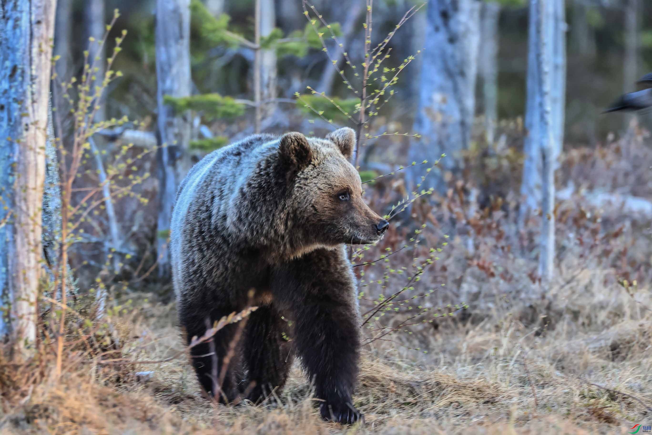 �����������������ĺ������������������������������� �̼�����.jpg