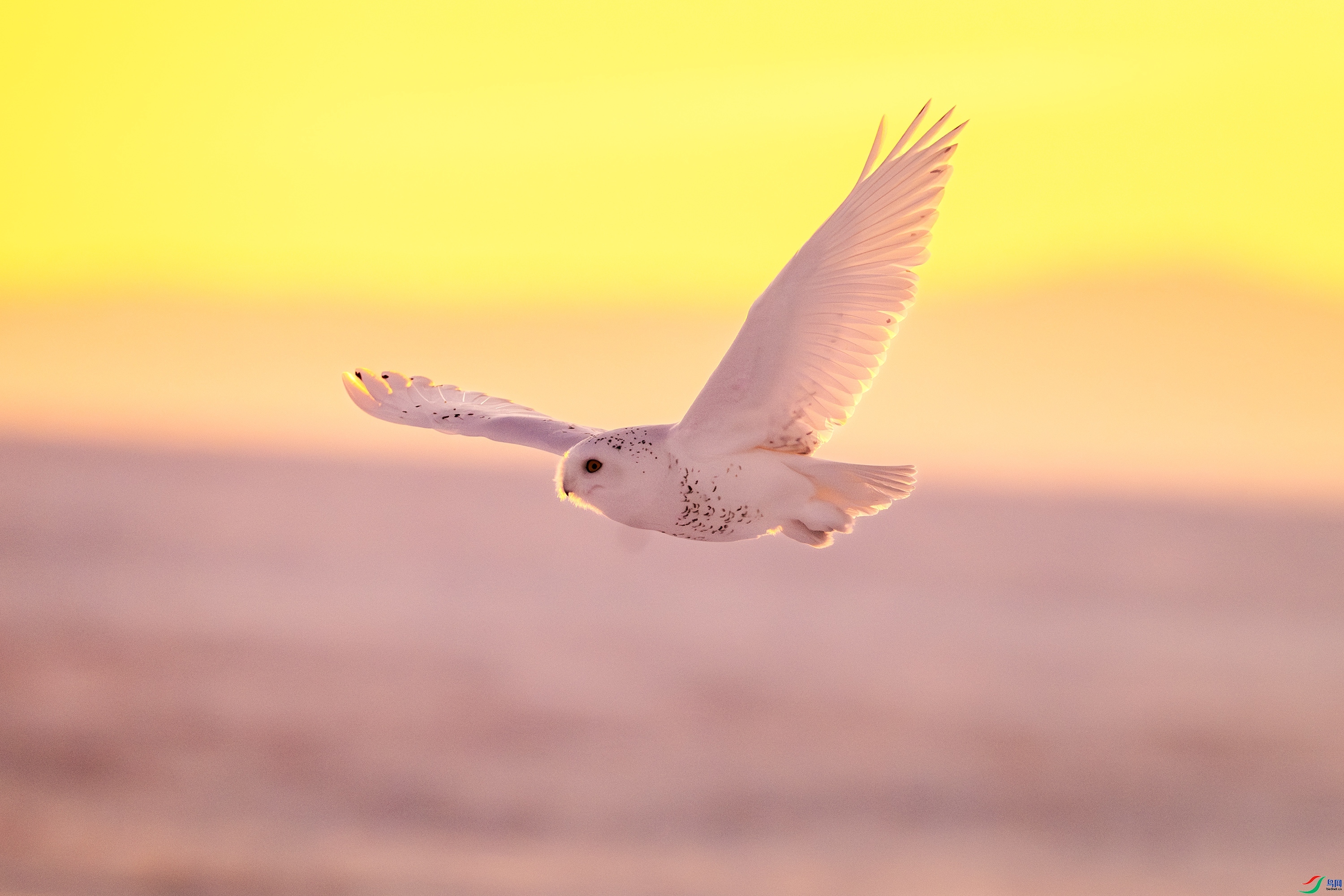 ��Ϊһ��  ���� �ٻ� ����.jpg